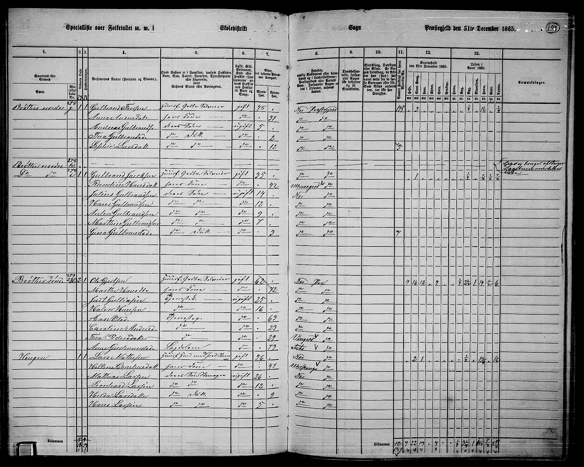 RA, 1865 census for Nes, 1865, p. 313