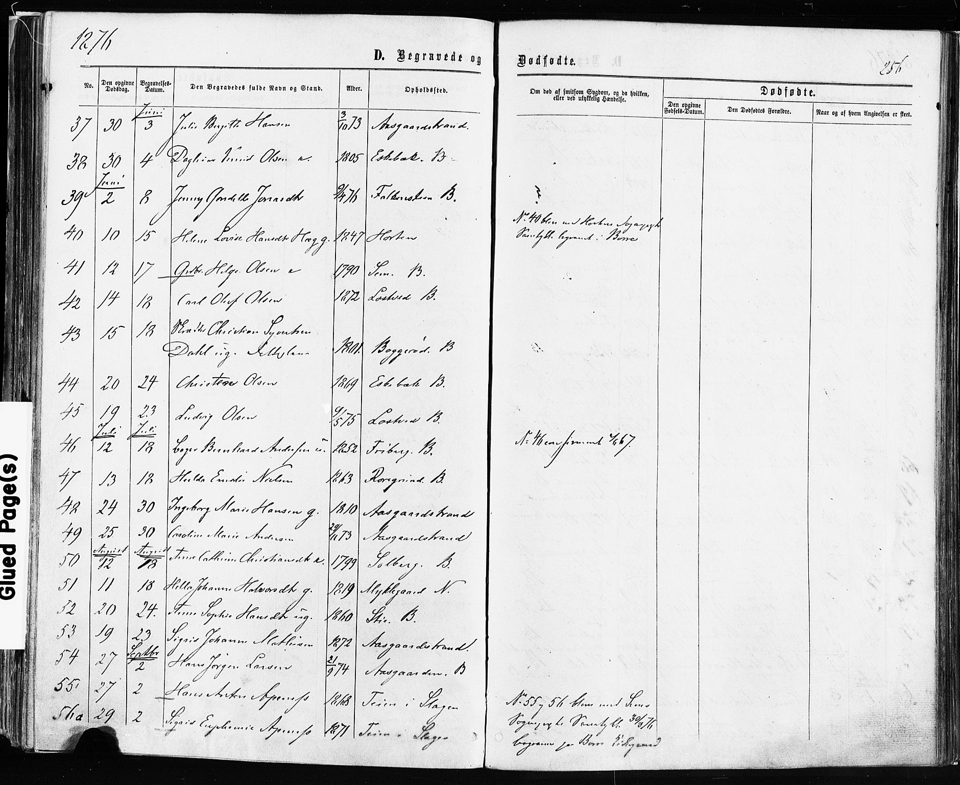 Borre kirkebøker, AV/SAKO-A-338/F/Fa/L0008: Parish register (official) no. I 8, 1868-1877, p. 256