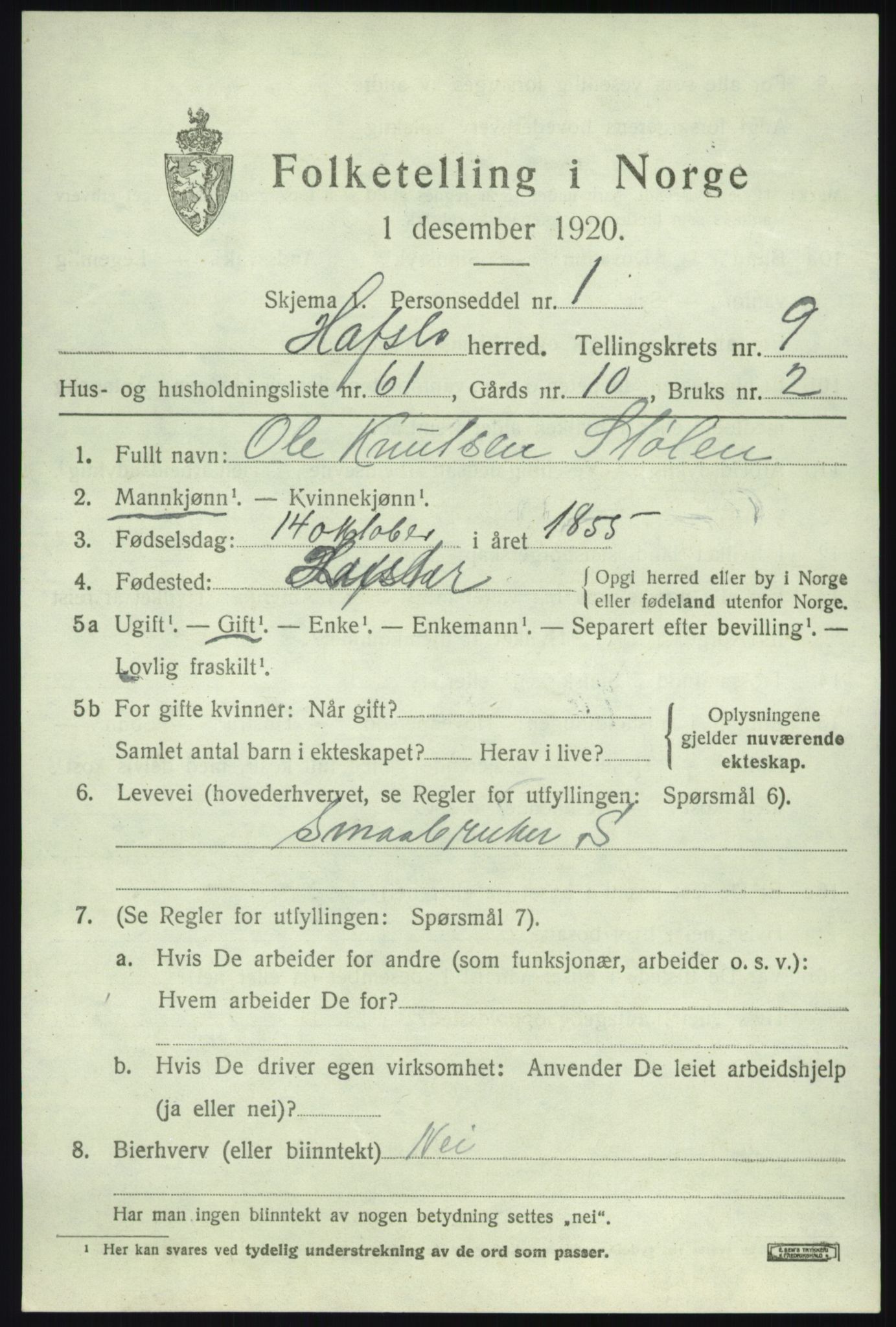 SAB, 1920 census for Hafslo, 1920, p. 6898
