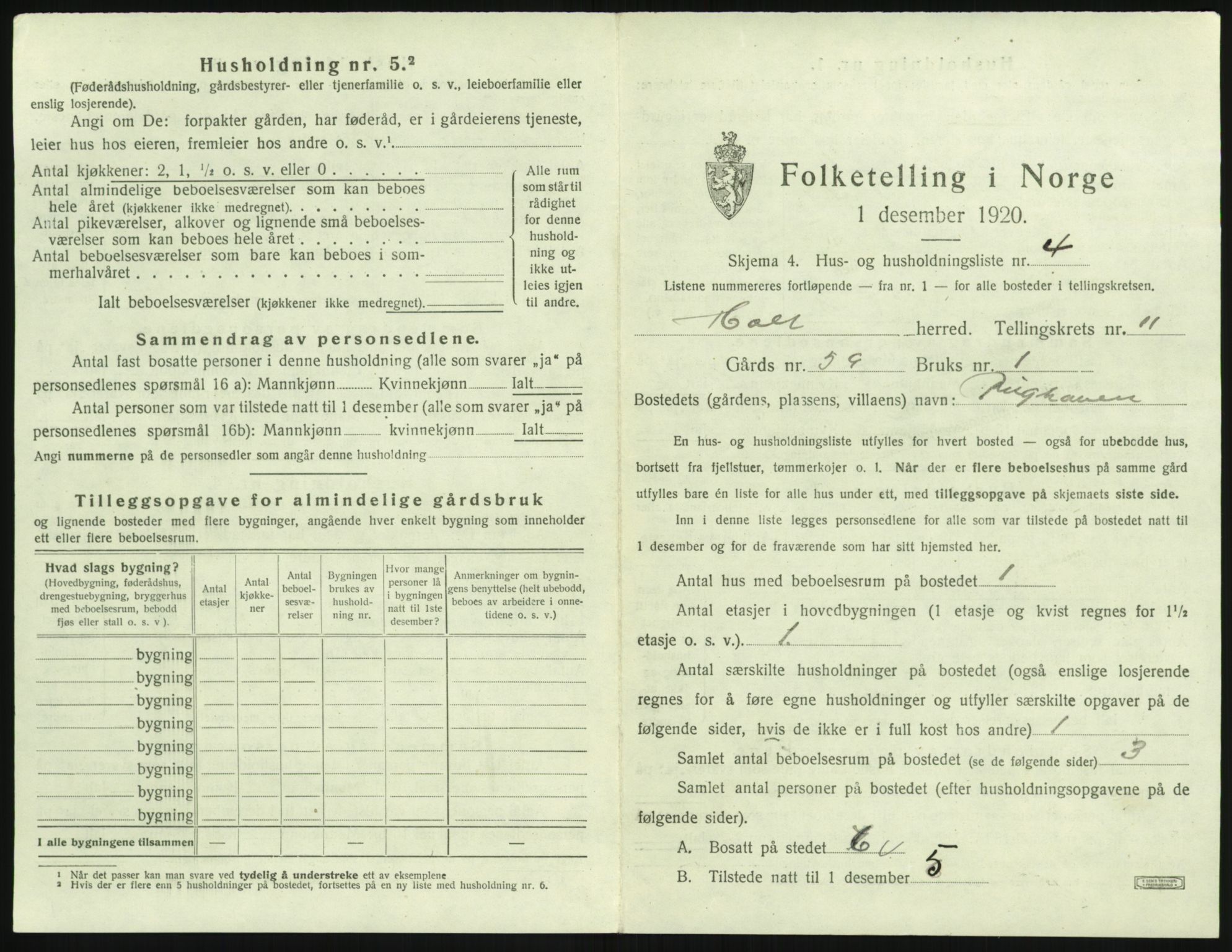 SAK, 1920 census for Holt, 1920, p. 1038