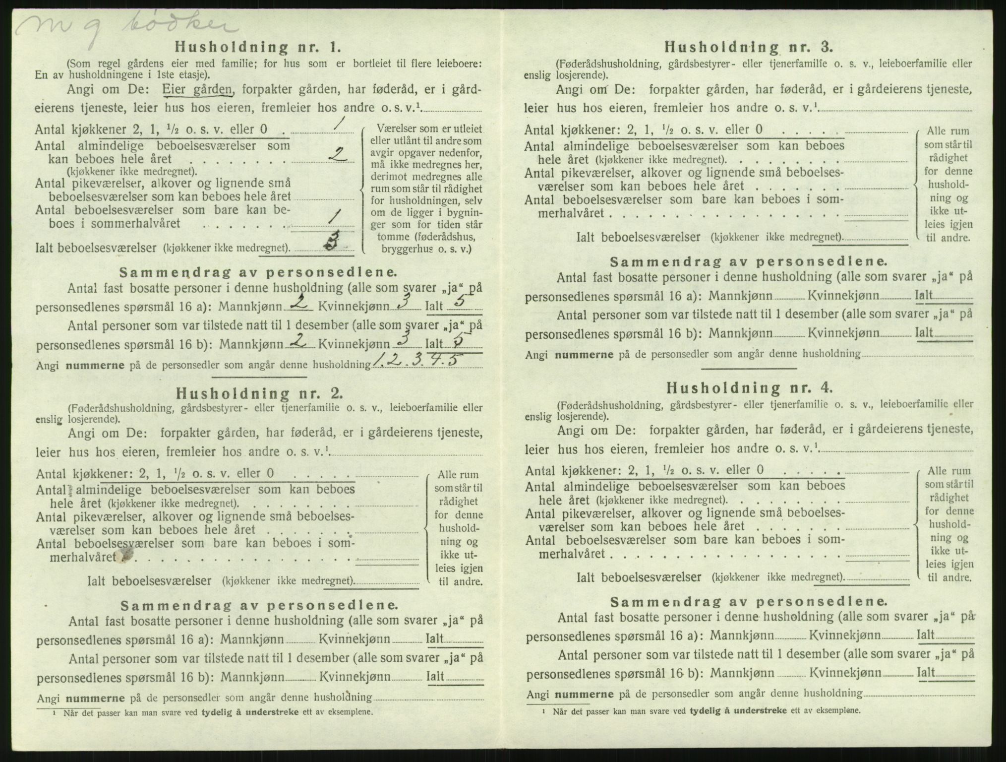 SAT, 1920 census for Nesset, 1920, p. 161