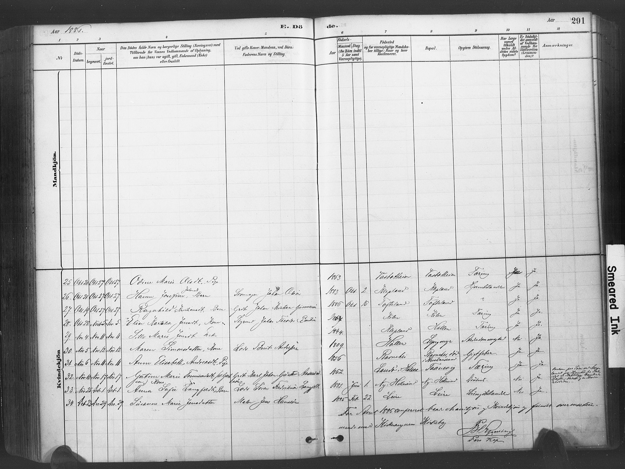 Søgne sokneprestkontor, AV/SAK-1111-0037/F/Fa/Fab/L0012: Parish register (official) no. A 12, 1880-1891, p. 291