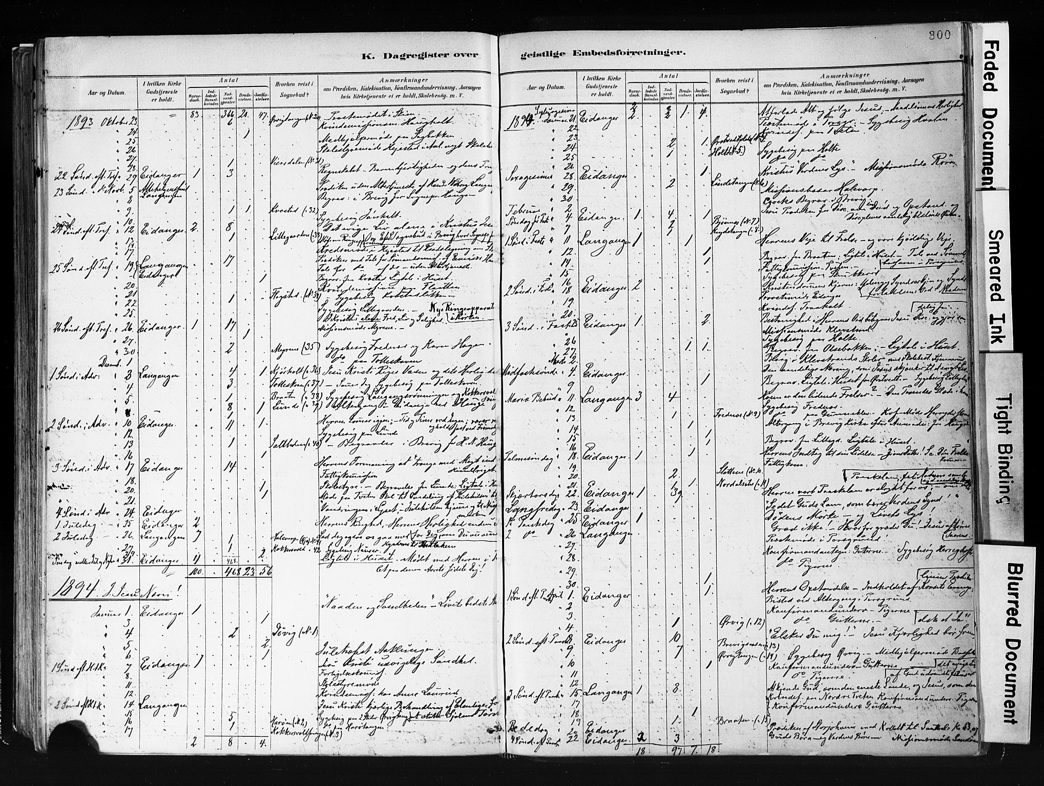 Eidanger kirkebøker, SAKO/A-261/F/Fa/L0012: Parish register (official) no. 12, 1879-1900, p. 300