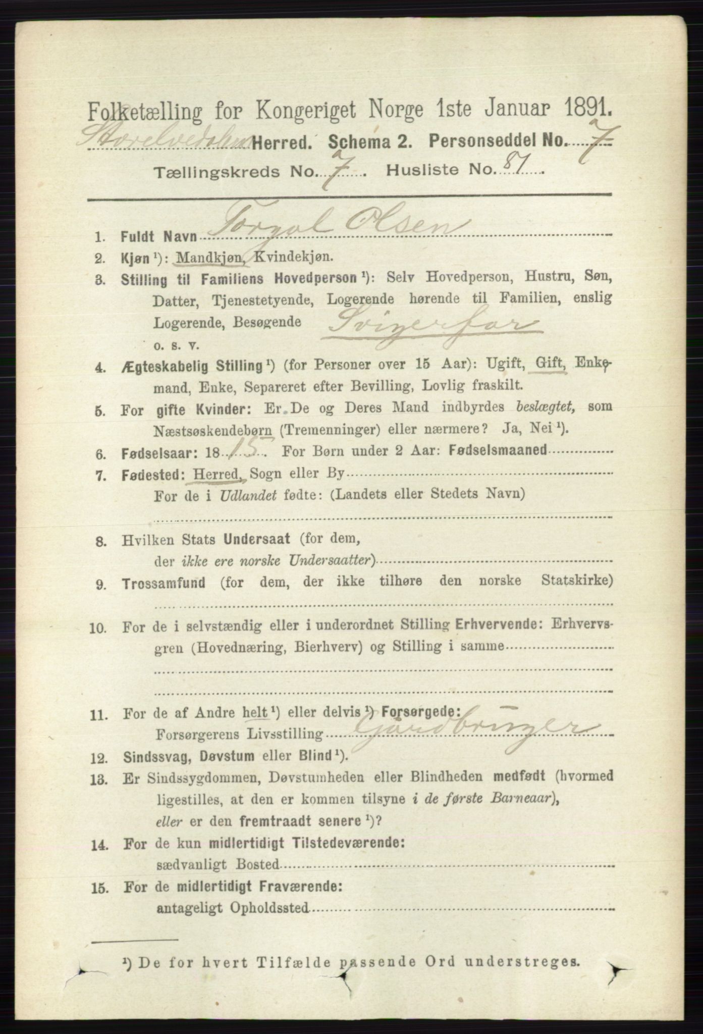 RA, 1891 census for 0430 Stor-Elvdal, 1891, p. 3300