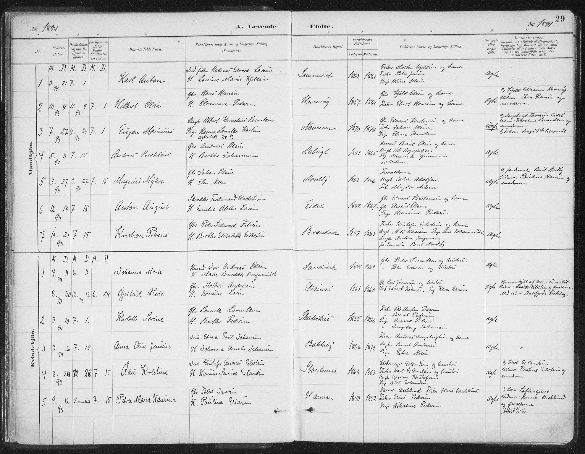 Balsfjord sokneprestembete, AV/SATØ-S-1303/G/Gaa/L0007kirke: Parish register (official) no. 7, 1887-1909, p. 29