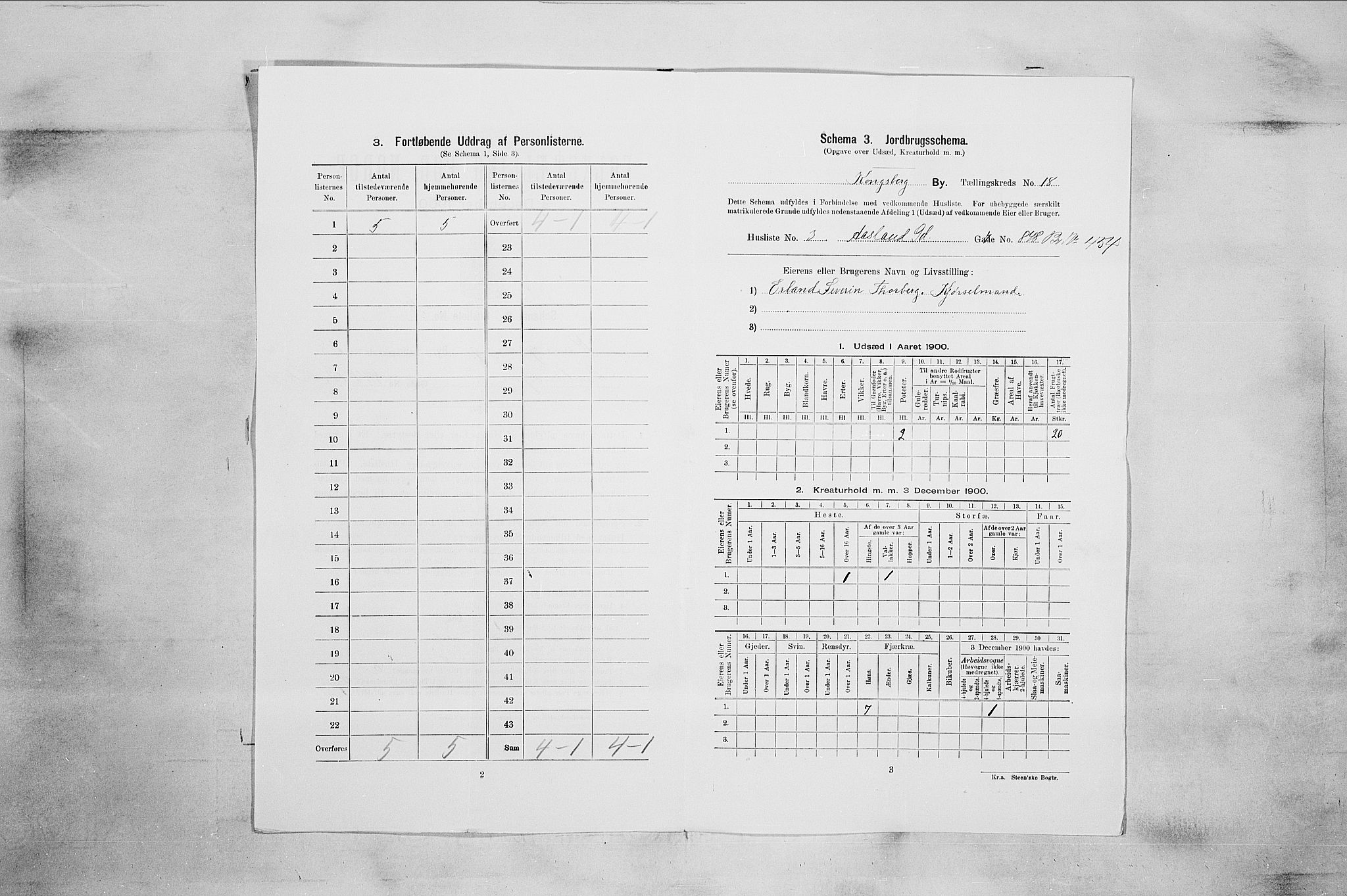 RA, 1900 census for Kongsberg, 1900, p. 3585