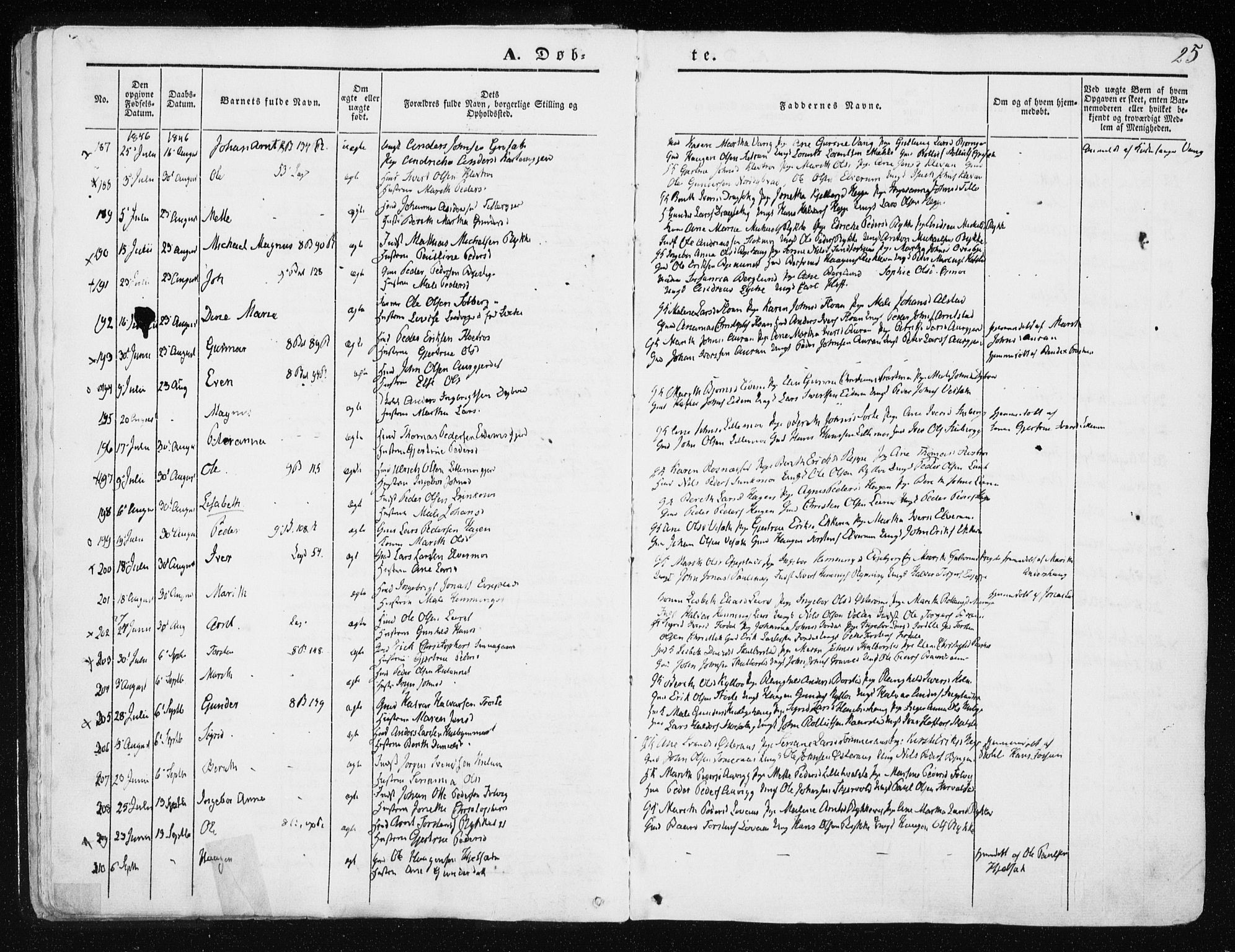 Ministerialprotokoller, klokkerbøker og fødselsregistre - Nord-Trøndelag, SAT/A-1458/709/L0074: Parish register (official) no. 709A14, 1845-1858, p. 25