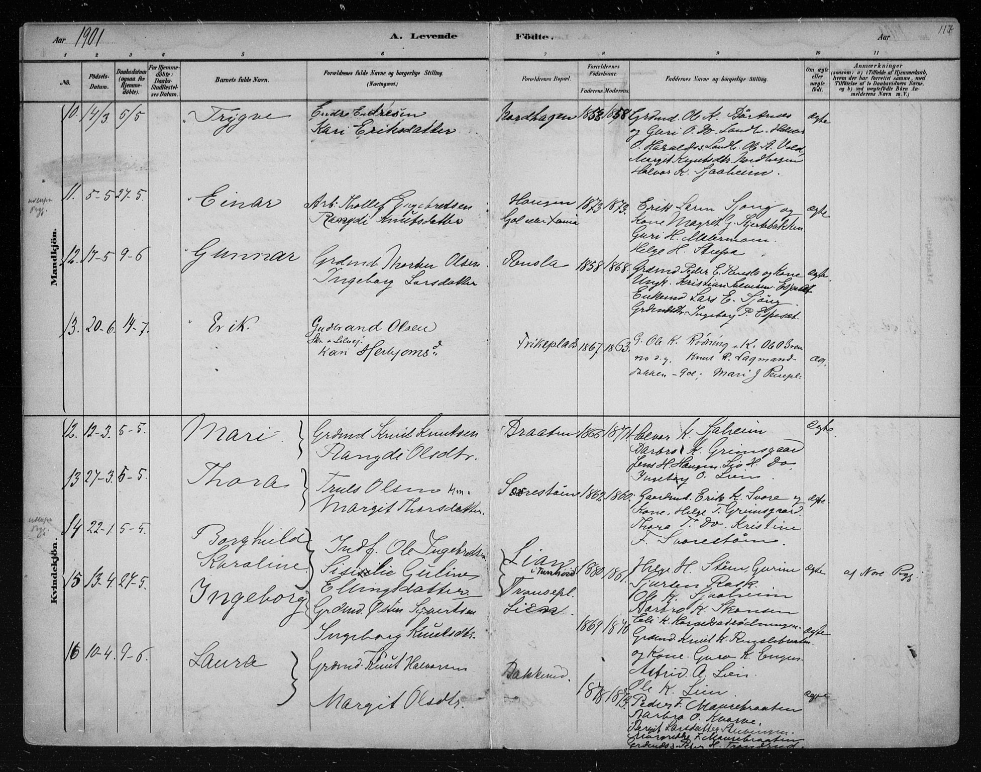 Nes kirkebøker, AV/SAKO-A-236/F/Fa/L0011: Parish register (official) no. 11, 1881-1912, p. 117