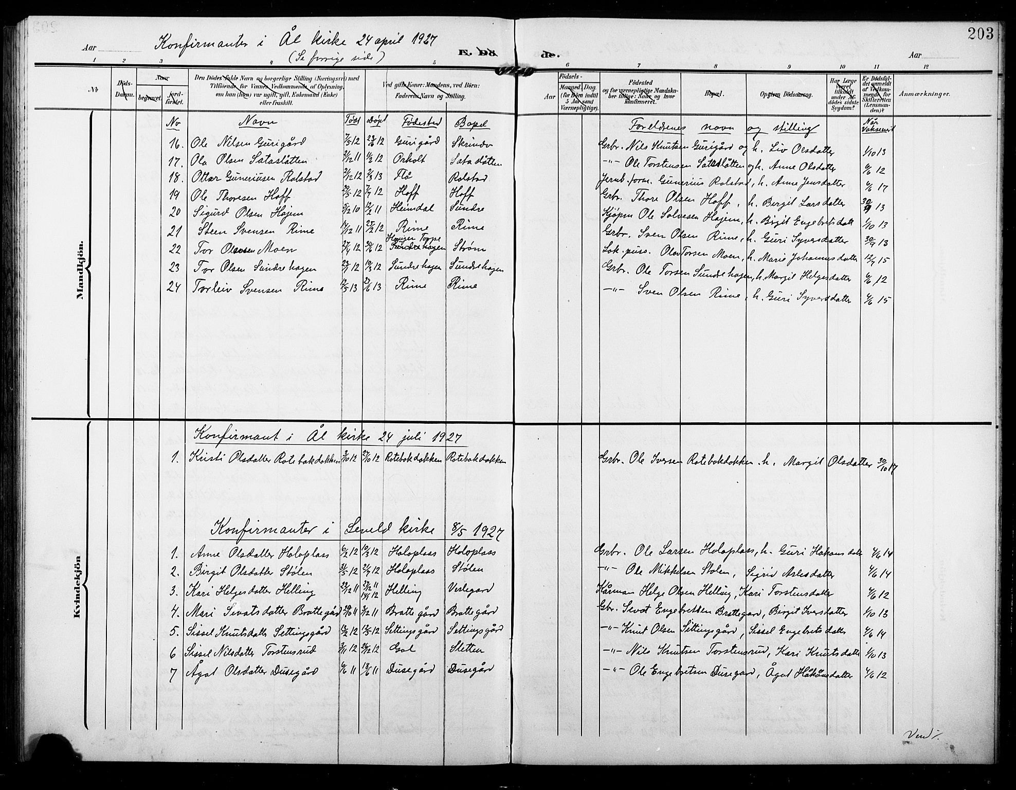 Ål kirkebøker, AV/SAKO-A-249/G/Ga/L0002: Parish register (copy) no. 2, 1904-1928, p. 203