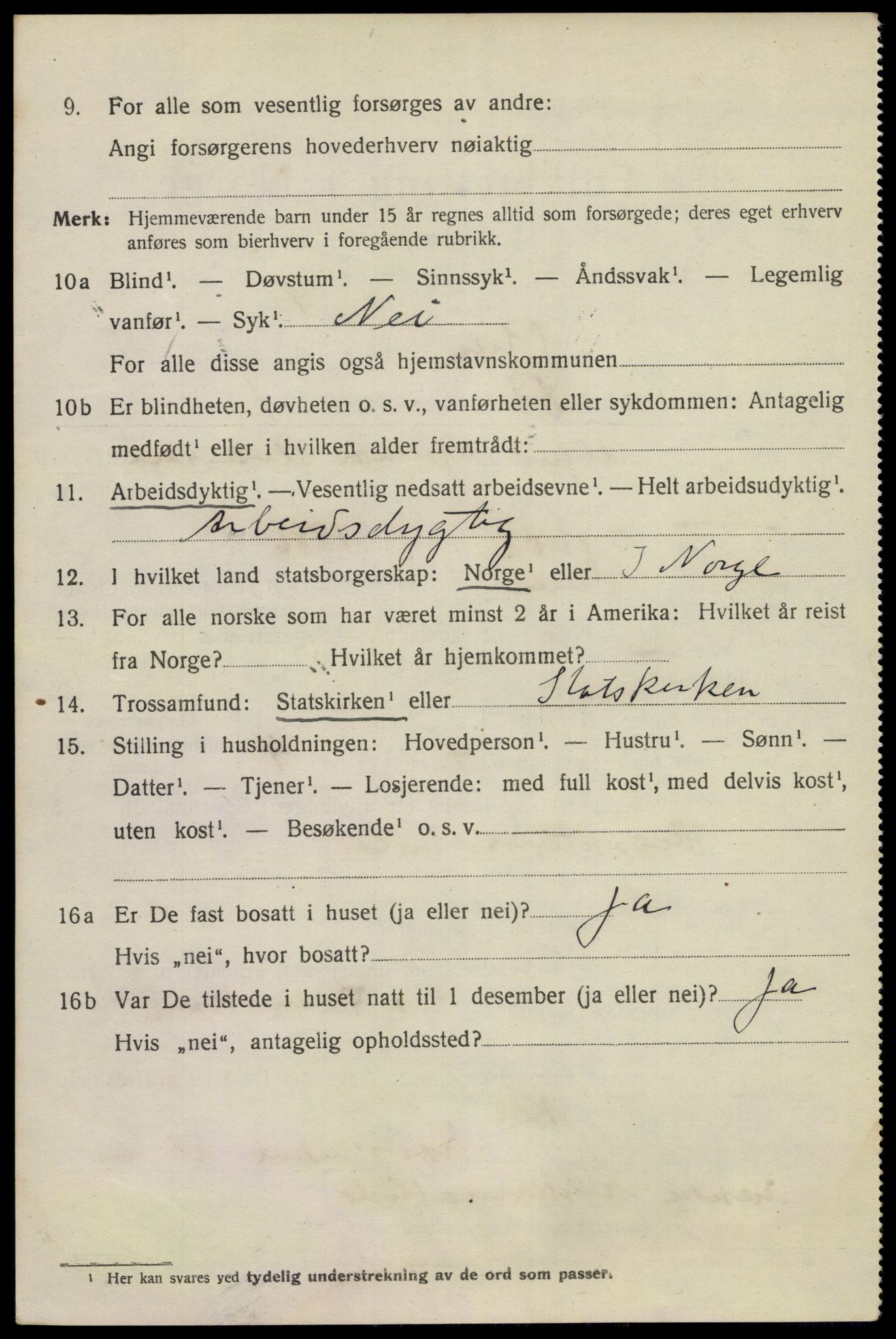 SAKO, 1920 census for Skien, 1920, p. 28613