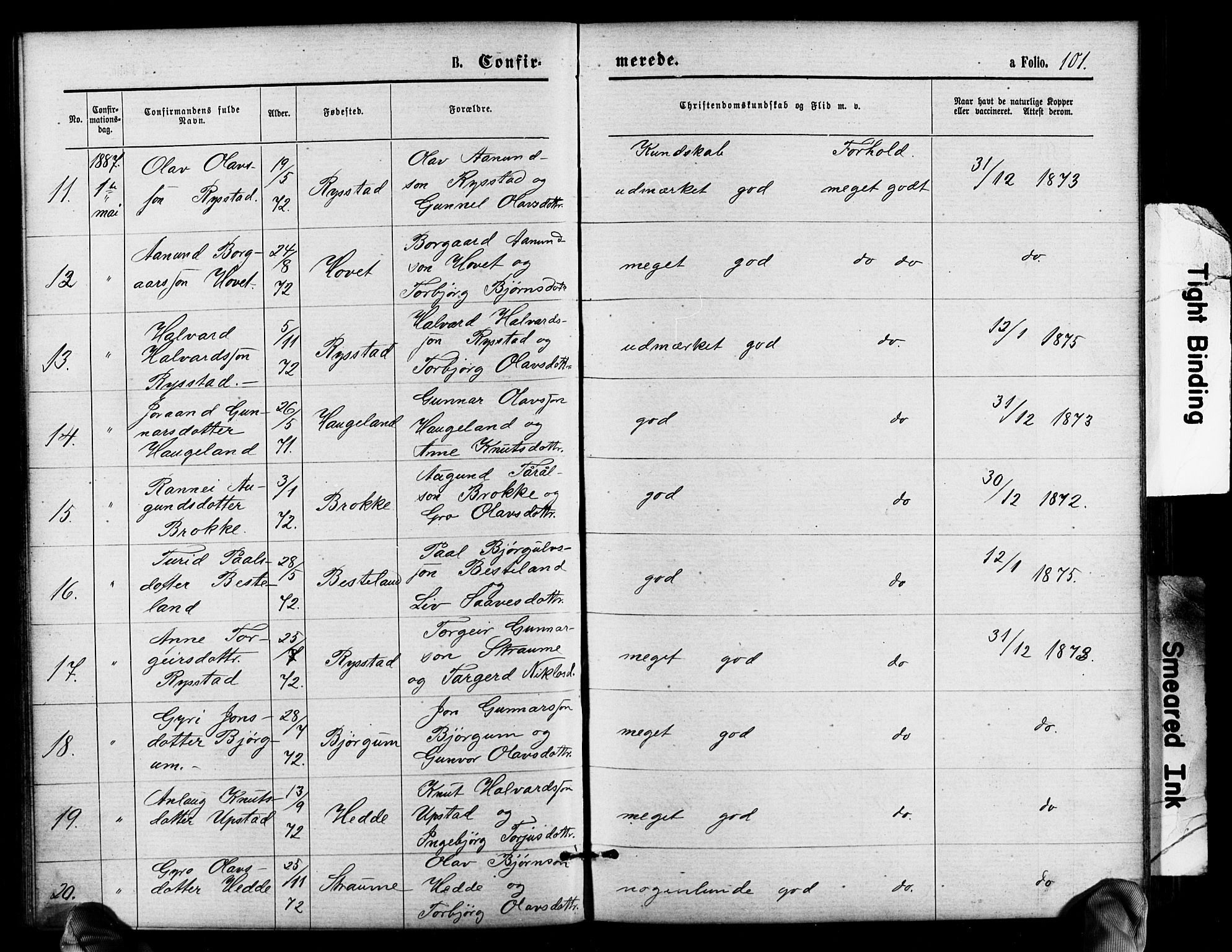 Valle sokneprestkontor, AV/SAK-1111-0044/F/Fb/Fbb/L0002: Parish register (copy) no. B 2, 1875-1921, p. 101