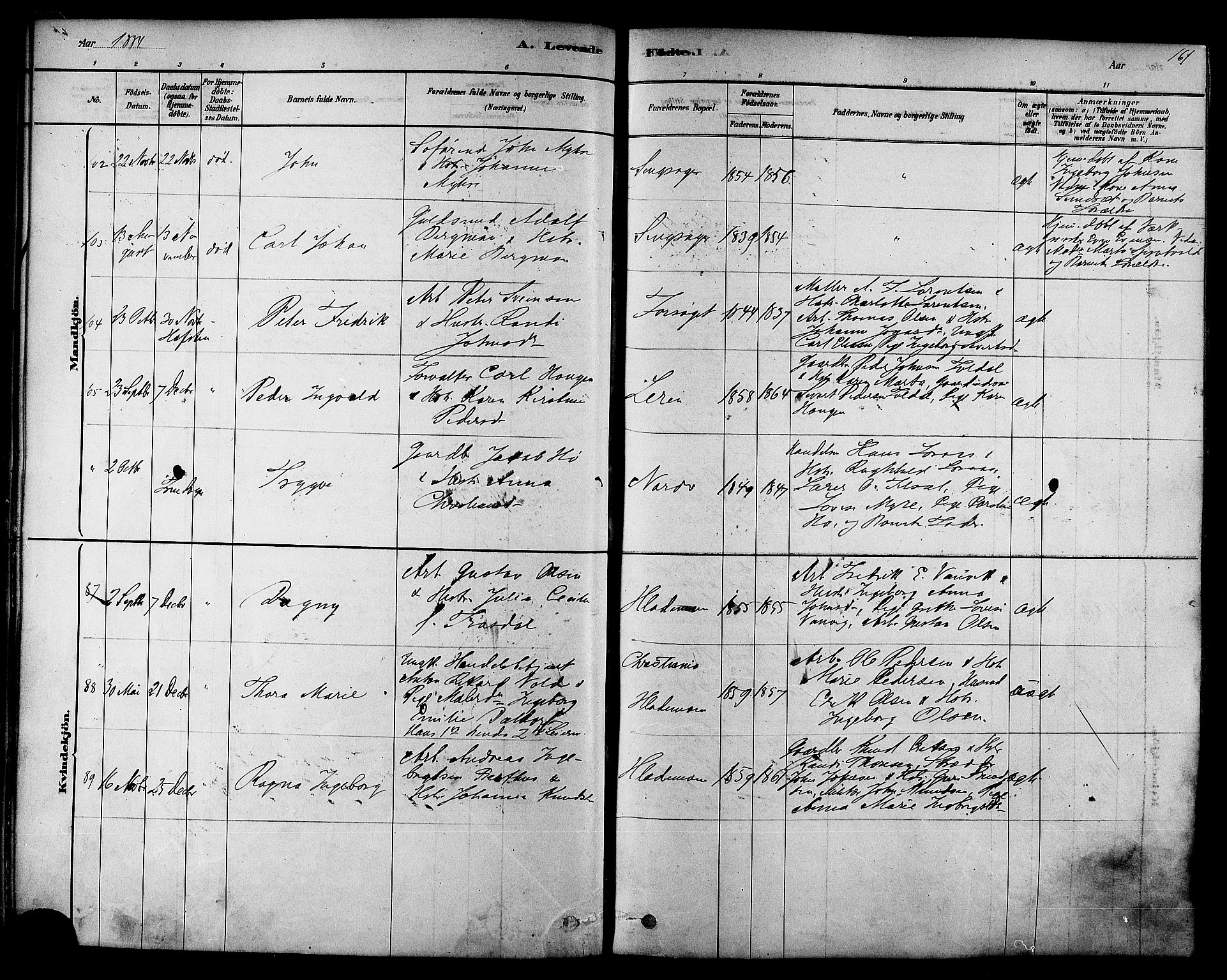 Ministerialprotokoller, klokkerbøker og fødselsregistre - Sør-Trøndelag, AV/SAT-A-1456/606/L0294: Parish register (official) no. 606A09, 1878-1886, p. 161