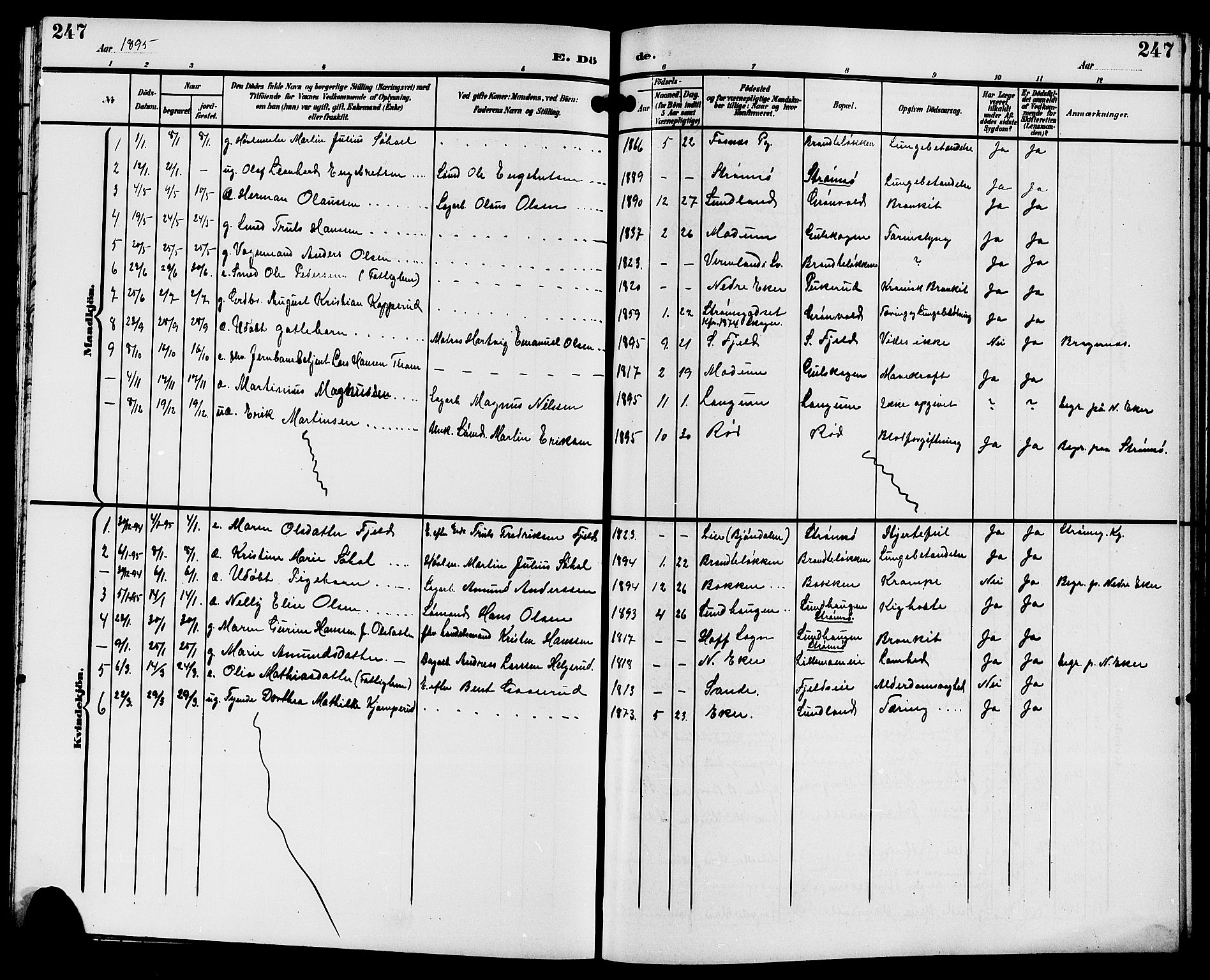 Strømsgodset kirkebøker, AV/SAKO-A-324/G/Ga/L0002: Parish register (copy) no. 2, 1885-1910, p. 247