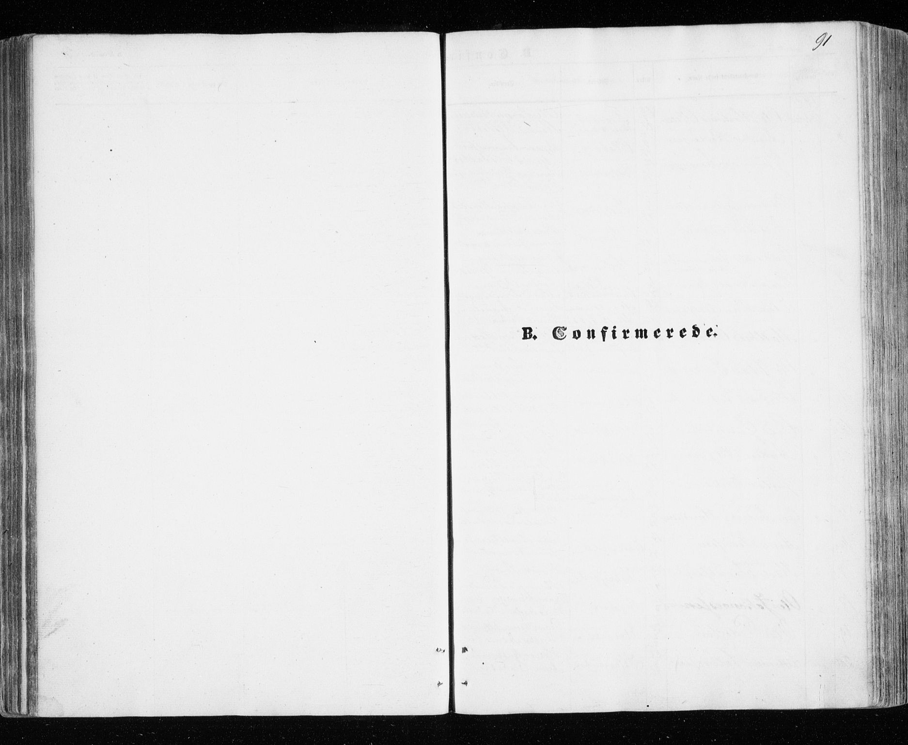 Målselv sokneprestembete, SATØ/S-1311/G/Ga/Gaa/L0004kirke: Parish register (official) no. 4, 1863-1872, p. 91