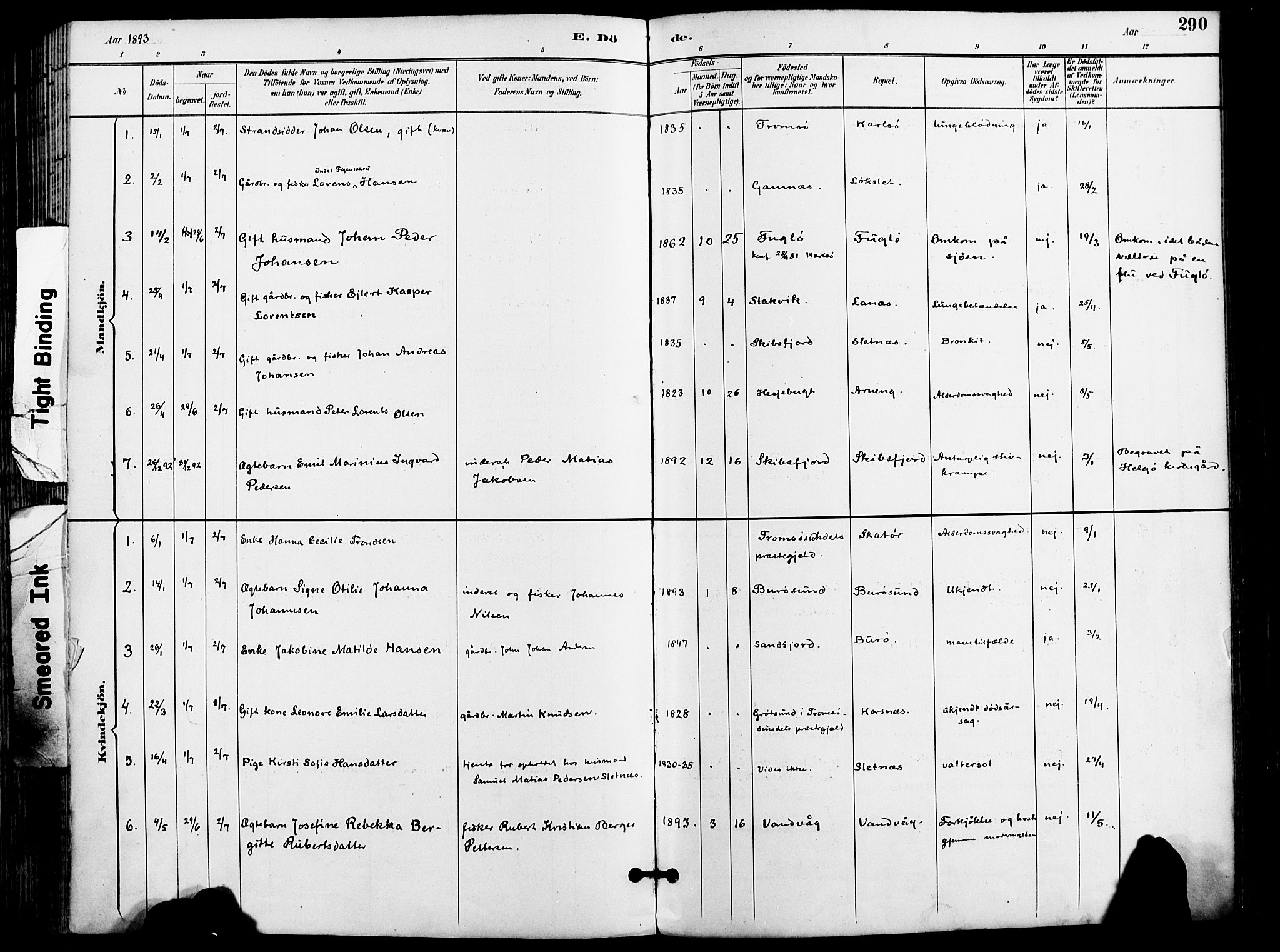 Karlsøy sokneprestembete, AV/SATØ-S-1299/H/Ha/Haa/L0007kirke: Parish register (official) no. 7, 1891-1902, p. 290