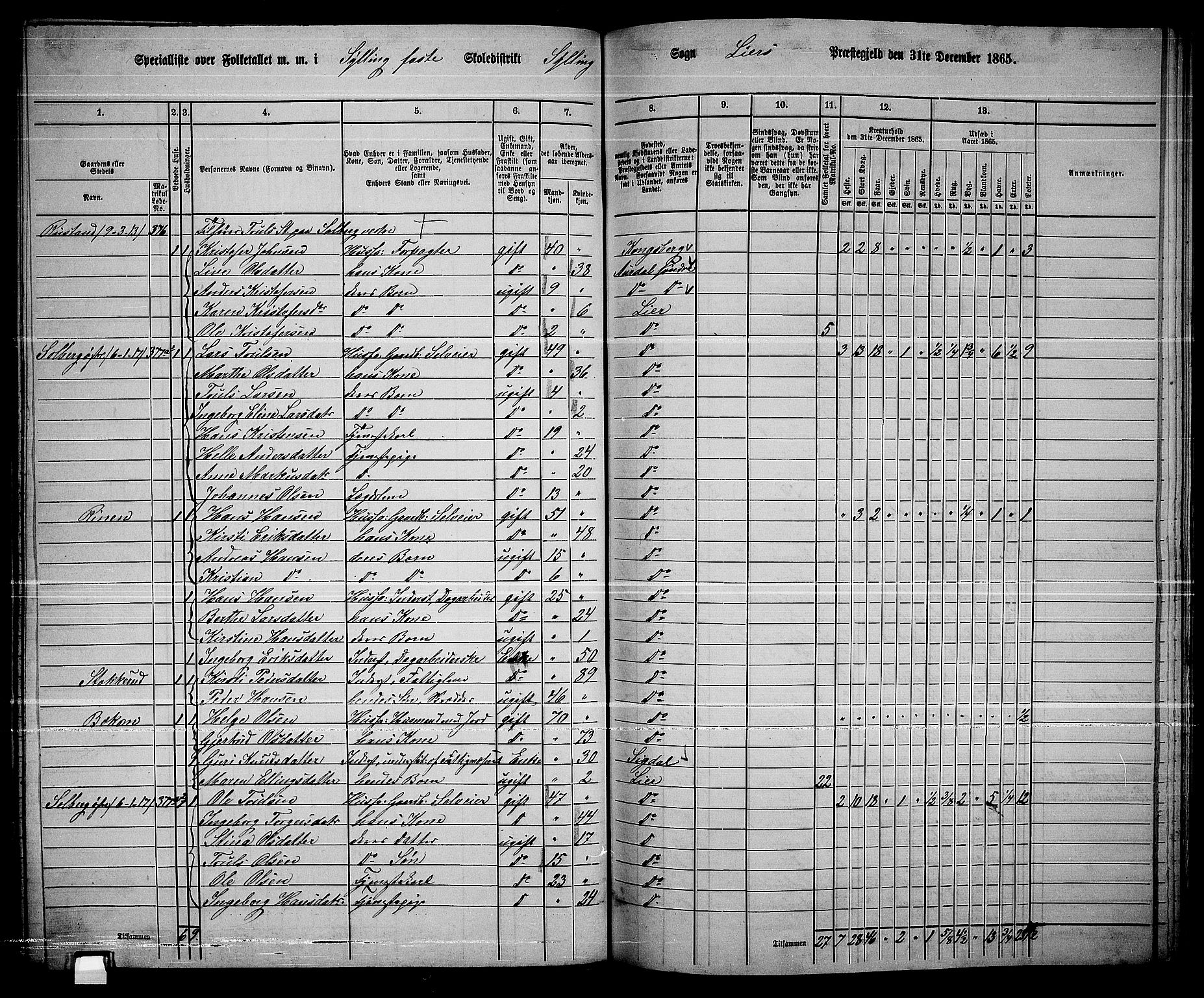 RA, 1865 census for Lier, 1865, p. 208