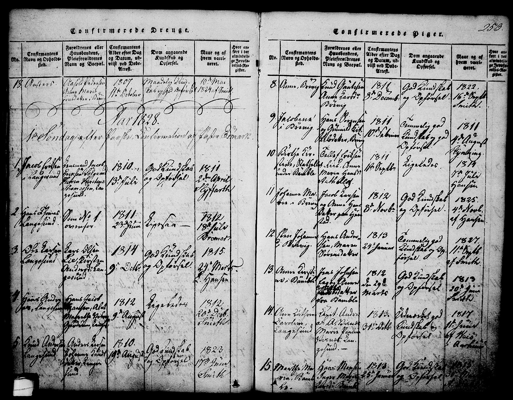 Brevik kirkebøker, SAKO/A-255/G/Ga/L0001: Parish register (copy) no. 1, 1814-1845, p. 253