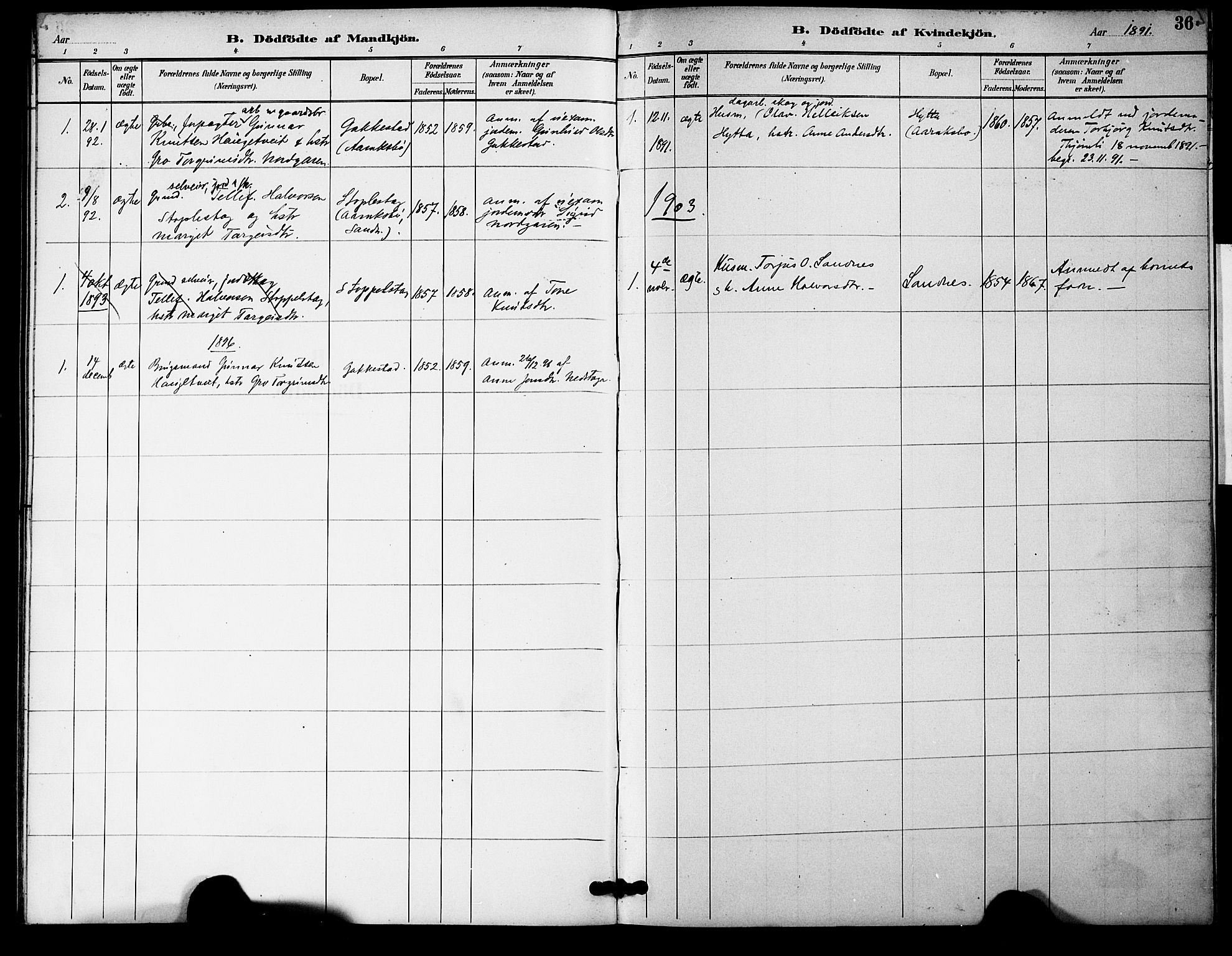 Bygland sokneprestkontor, SAK/1111-0006/F/Fa/Fac/L0001: Parish register (official) no. A 1, 1885-1909, p. 36