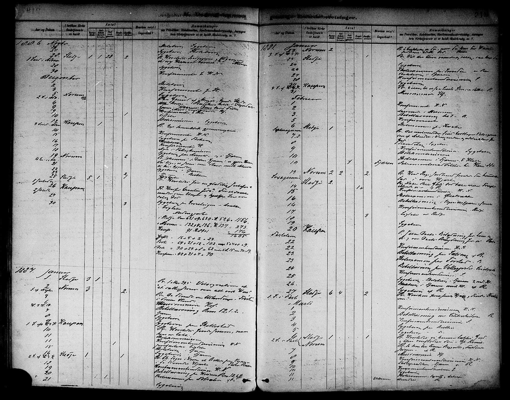 Sogndal sokneprestembete, AV/SAB-A-81301/H/Haa/Haab/L0001: Parish register (official) no. B 1, 1878-1899, p. 219