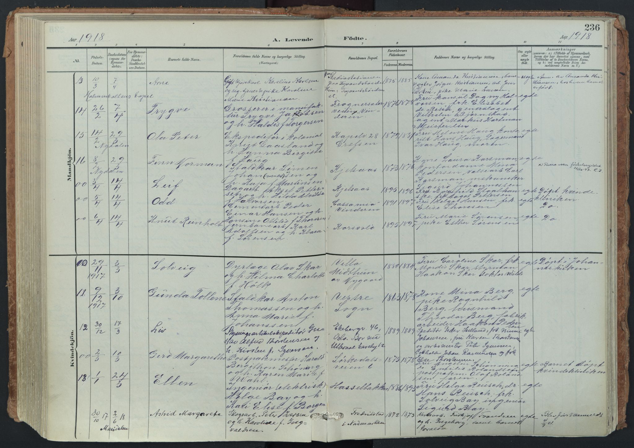 Vestre Aker prestekontor Kirkebøker, SAO/A-10025/F/Fa/L0014: Parish register (official) no. 14, 1903-1921, p. 236