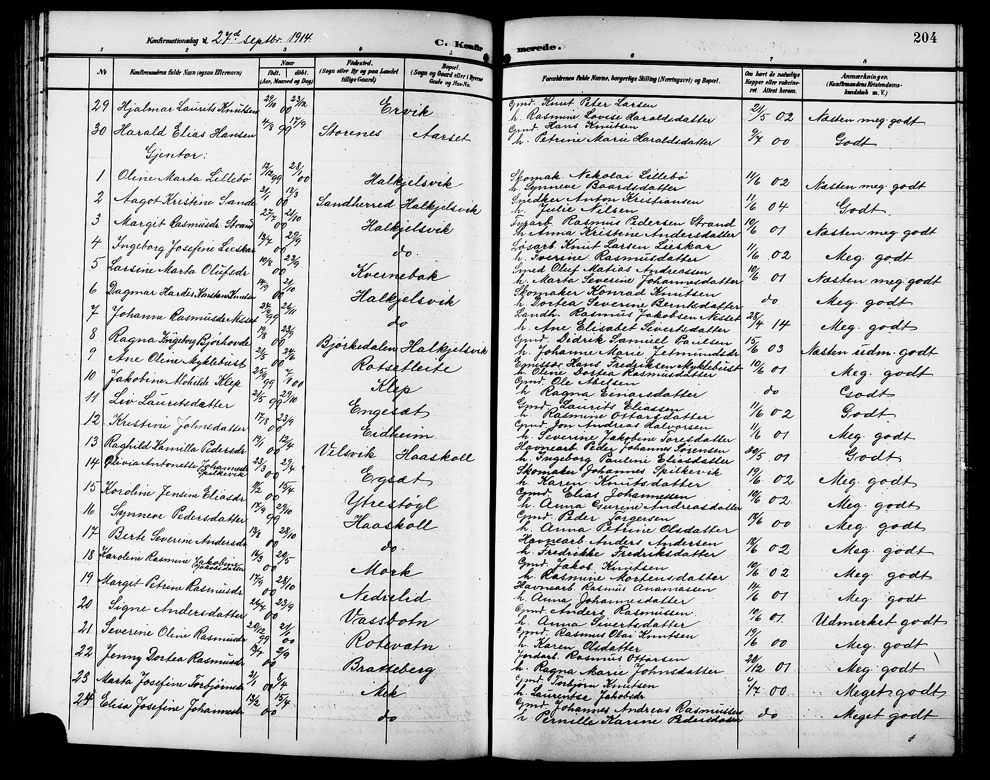 Ministerialprotokoller, klokkerbøker og fødselsregistre - Møre og Romsdal, AV/SAT-A-1454/511/L0159: Parish register (copy) no. 511C05, 1902-1920, p. 204