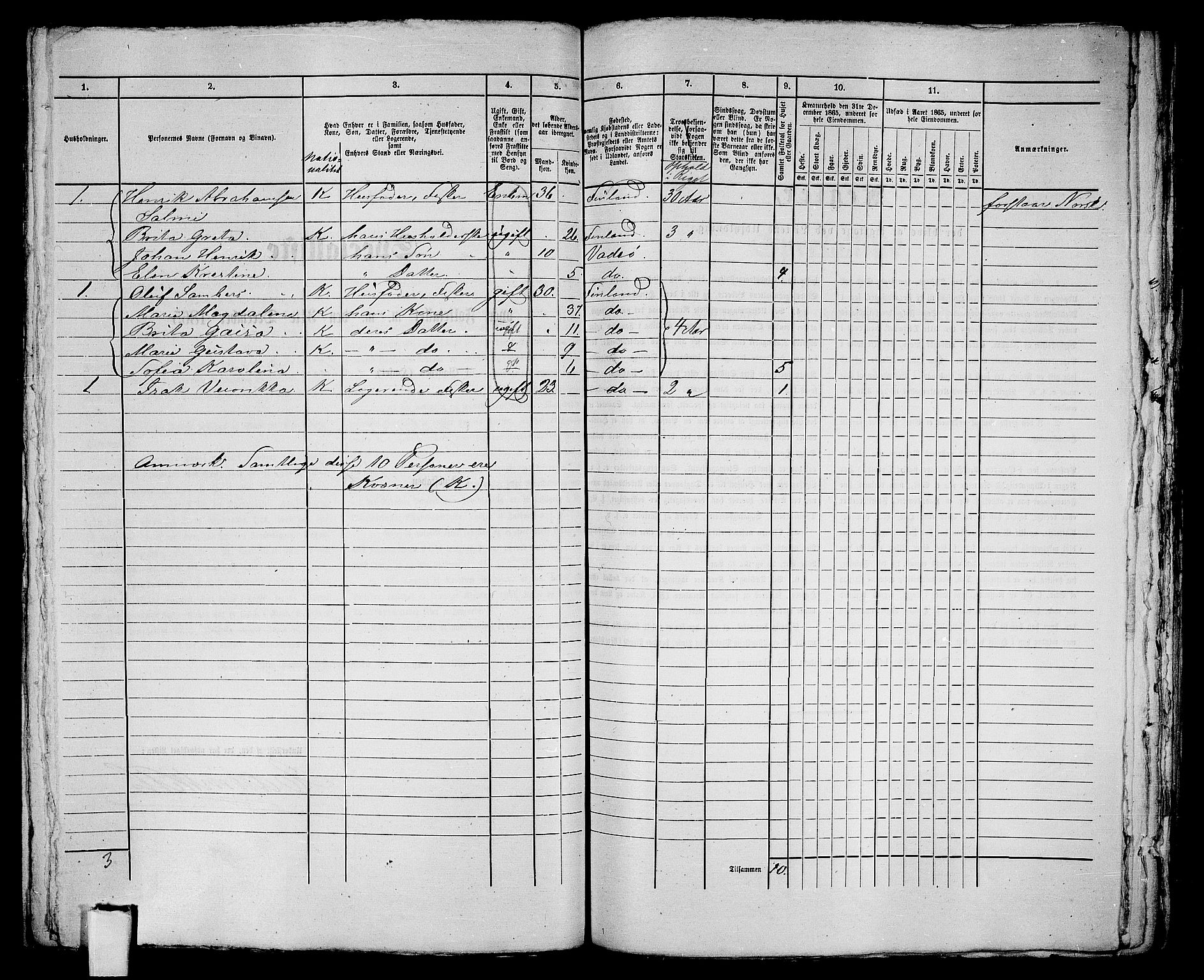 RA, 1865 census for Vadsø/Vadsø, 1865, p. 207