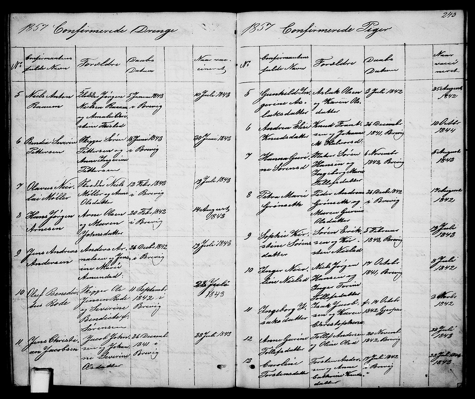 Brevik kirkebøker, SAKO/A-255/G/Ga/L0002: Parish register (copy) no. 2, 1846-1865, p. 243