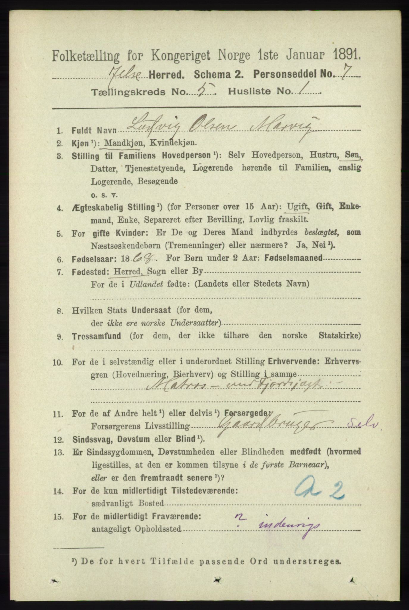 RA, 1891 census for 1138 Jelsa, 1891, p. 1069