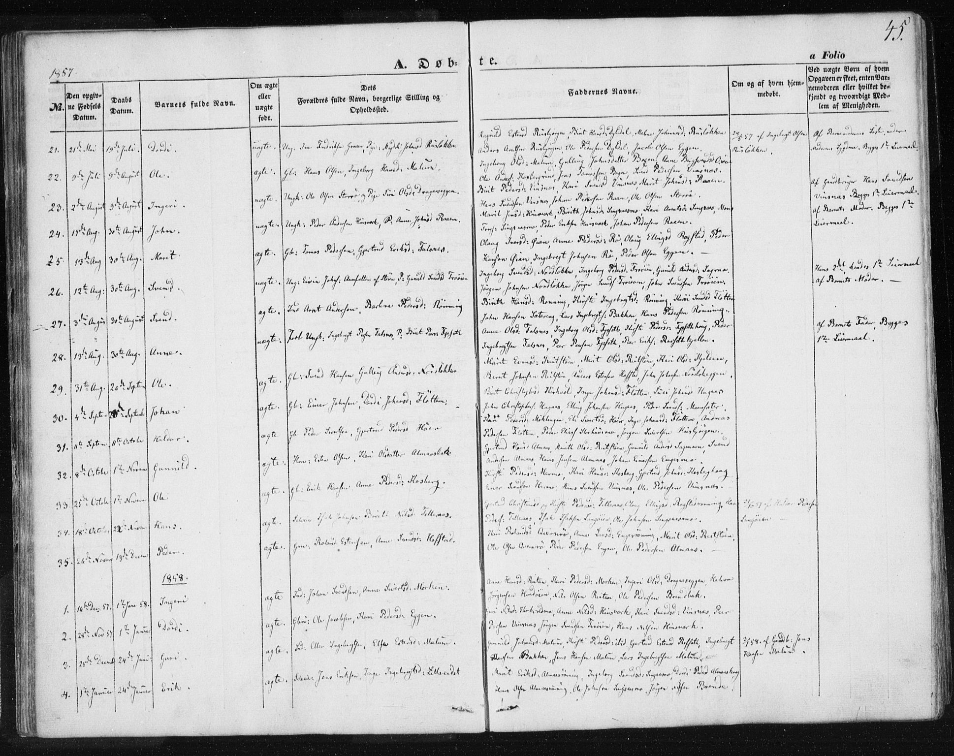 Ministerialprotokoller, klokkerbøker og fødselsregistre - Sør-Trøndelag, SAT/A-1456/685/L0964: Parish register (official) no. 685A06 /2, 1846-1859, p. 45