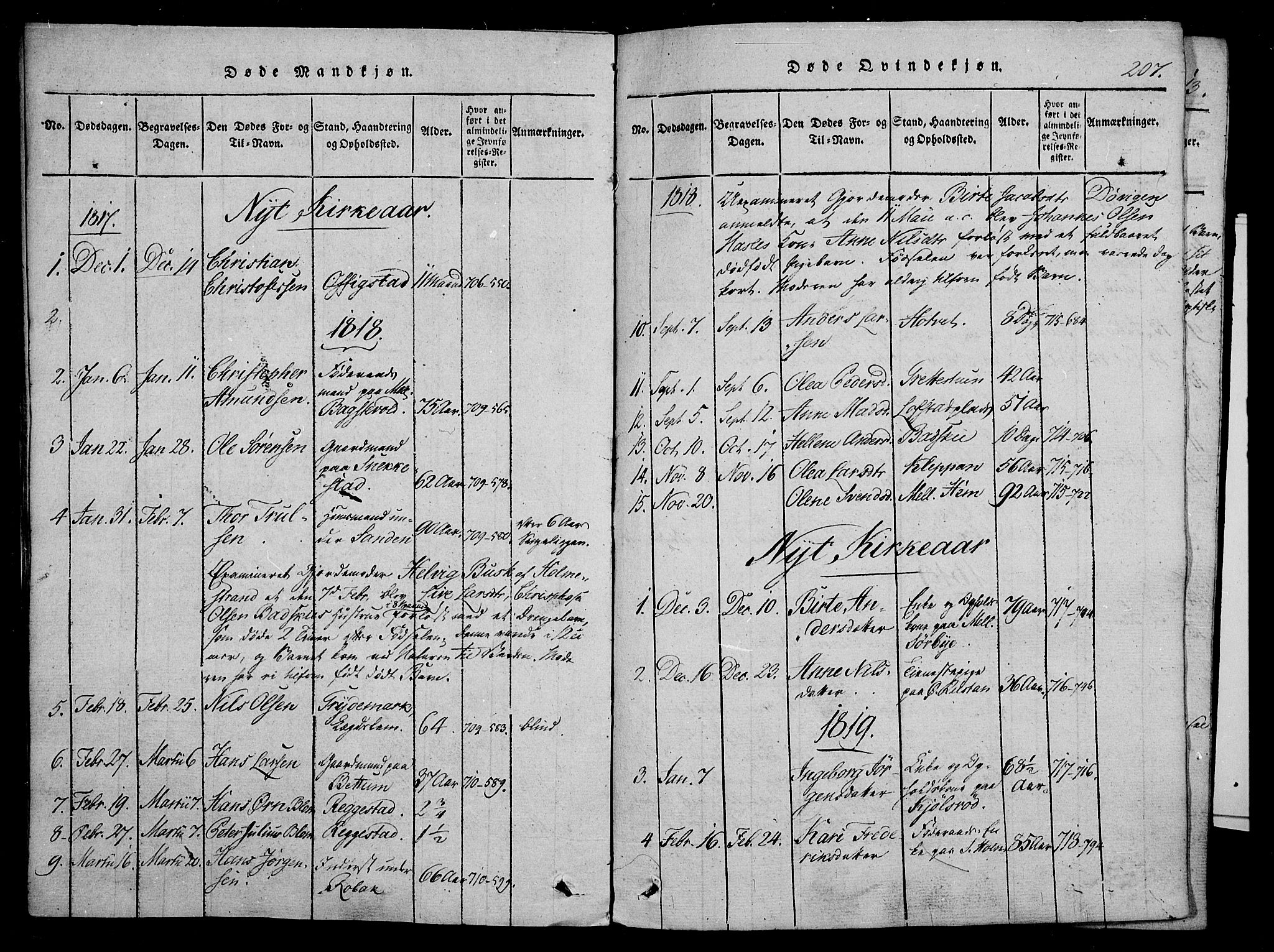 Våle kirkebøker, SAKO/A-334/F/Fa/L0007: Parish register (official) no. I 7, 1814-1824, p. 206-207