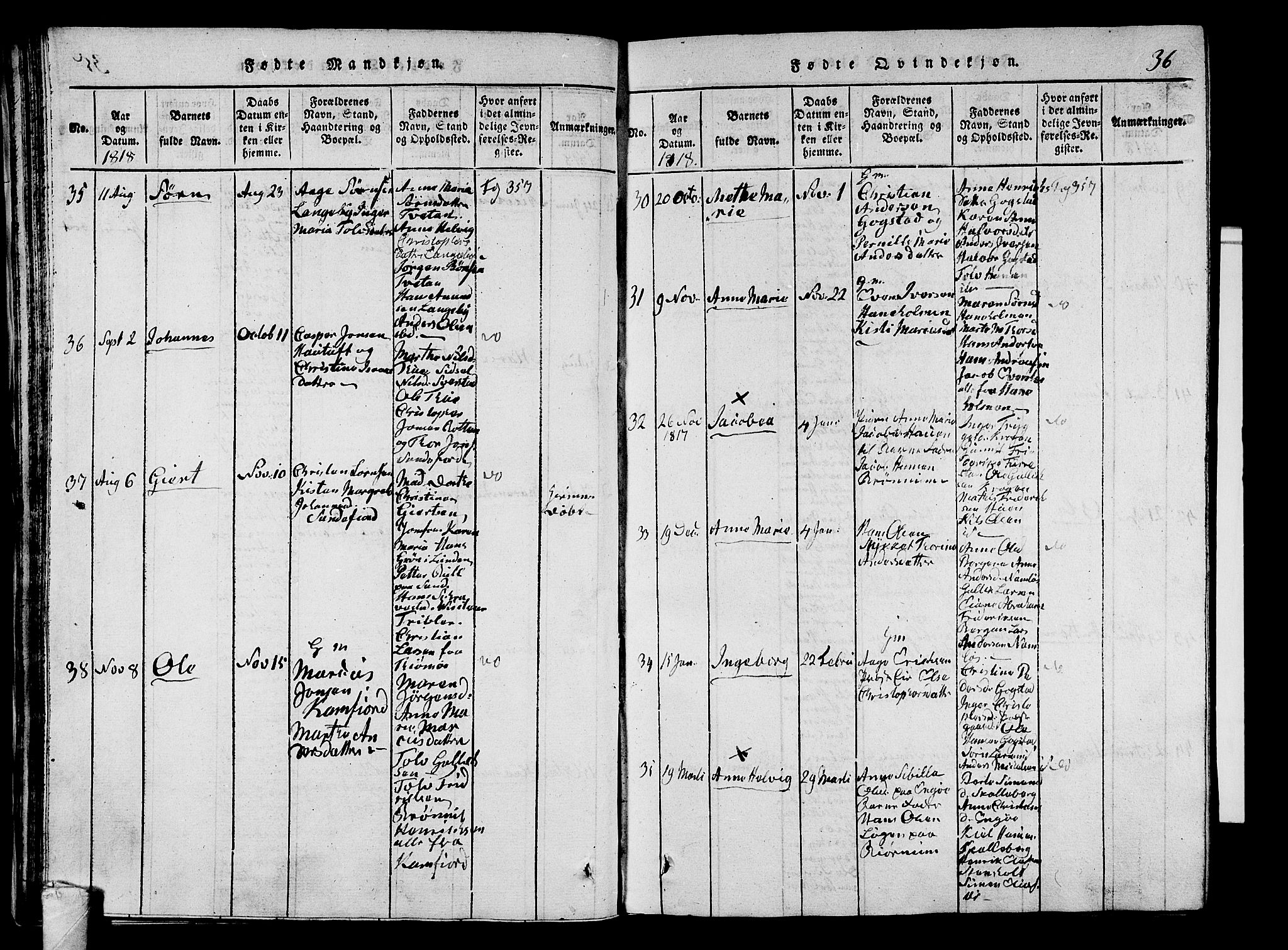 Sandar kirkebøker, SAKO/A-243/G/Ga/L0001: Parish register (copy) no. 1, 1814-1835, p. 36