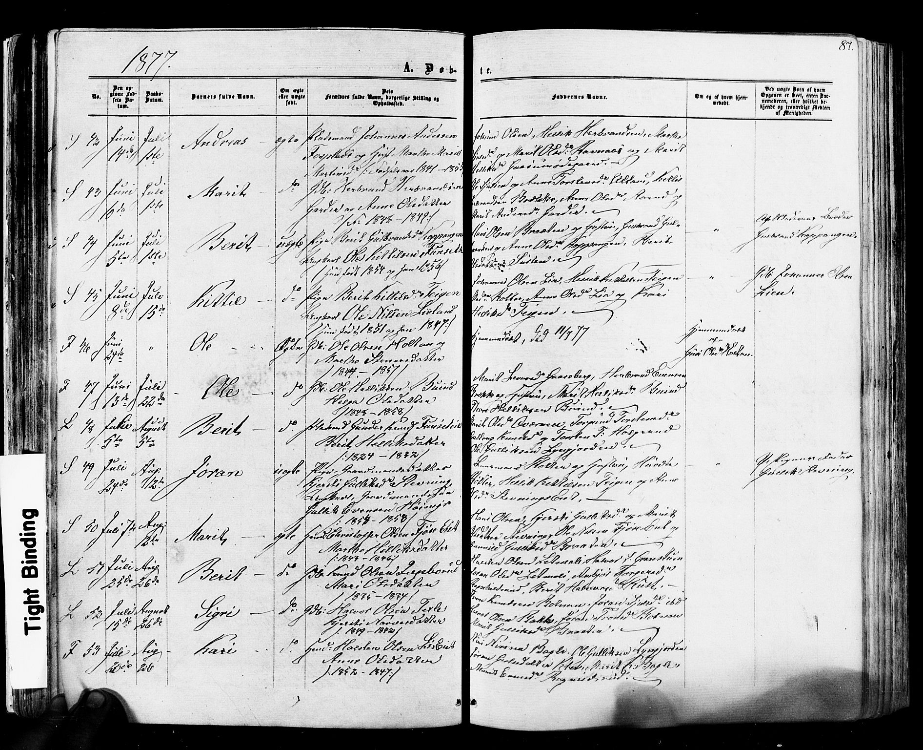 Flesberg kirkebøker, AV/SAKO-A-18/F/Fa/L0007: Parish register (official) no. I 7, 1861-1878, p. 87