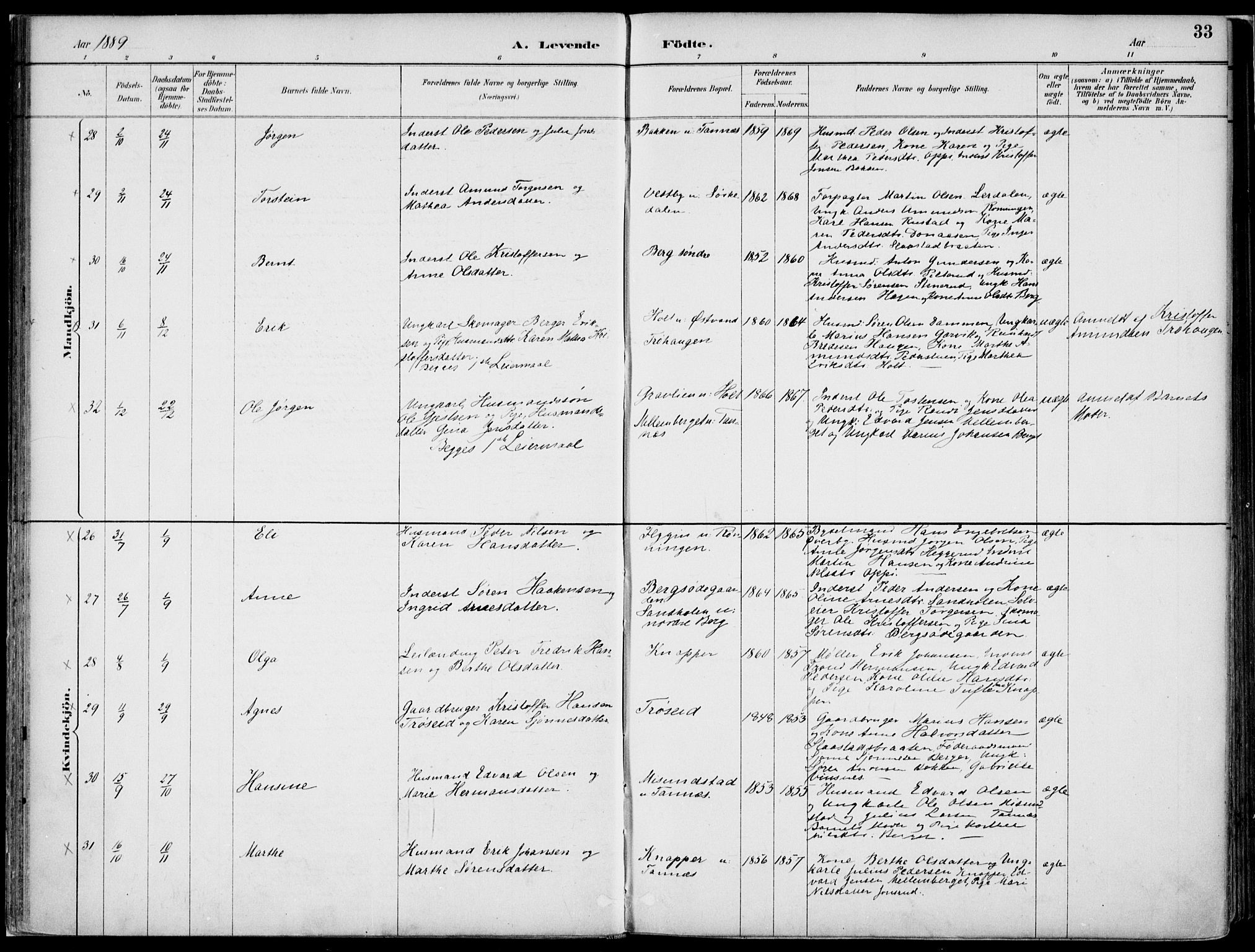 Nord-Odal prestekontor, SAH/PREST-032/H/Ha/Haa/L0008: Parish register (official) no. 8, 1886-1901, p. 33