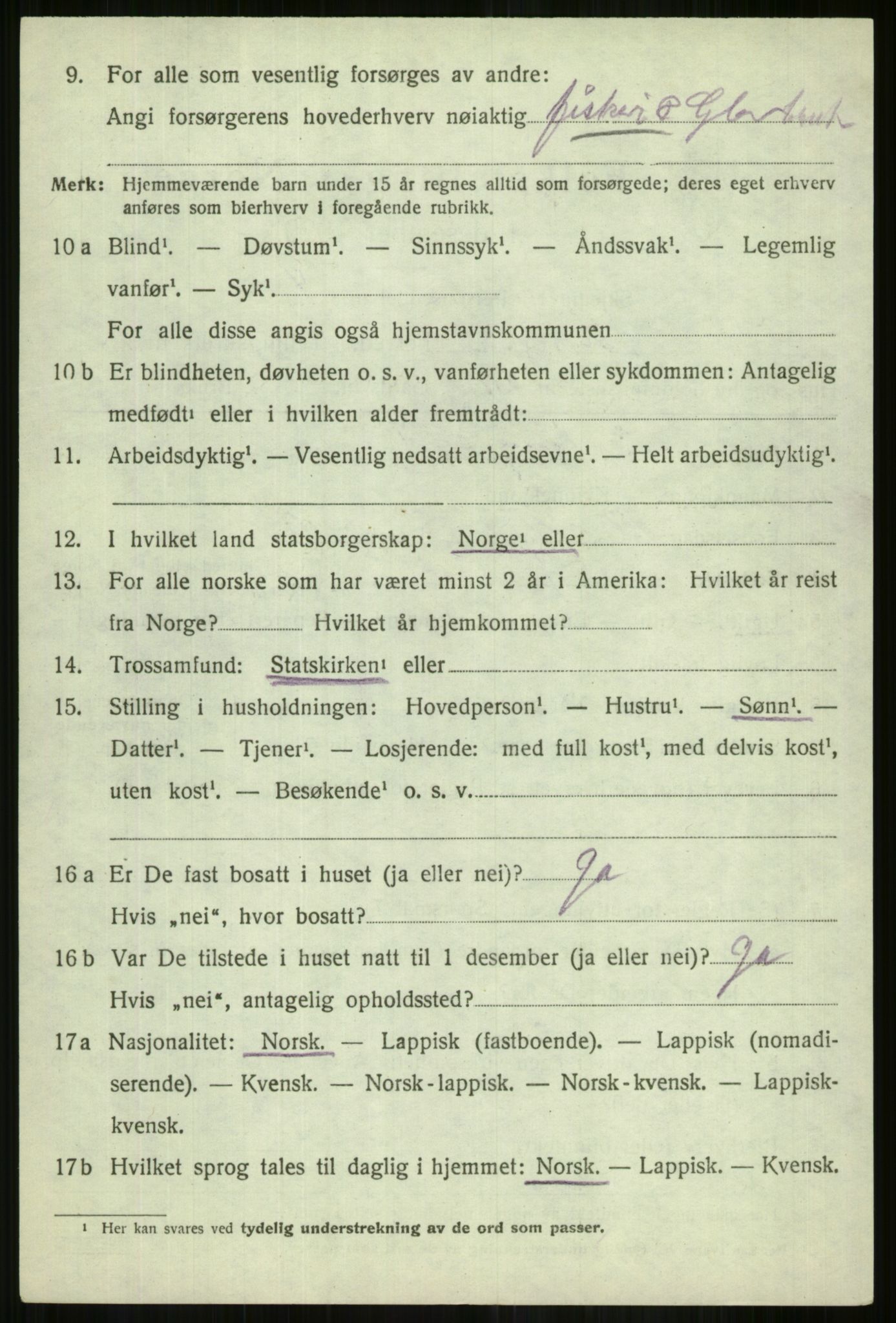 SATØ, 1920 census for Lyngen, 1920, p. 10376