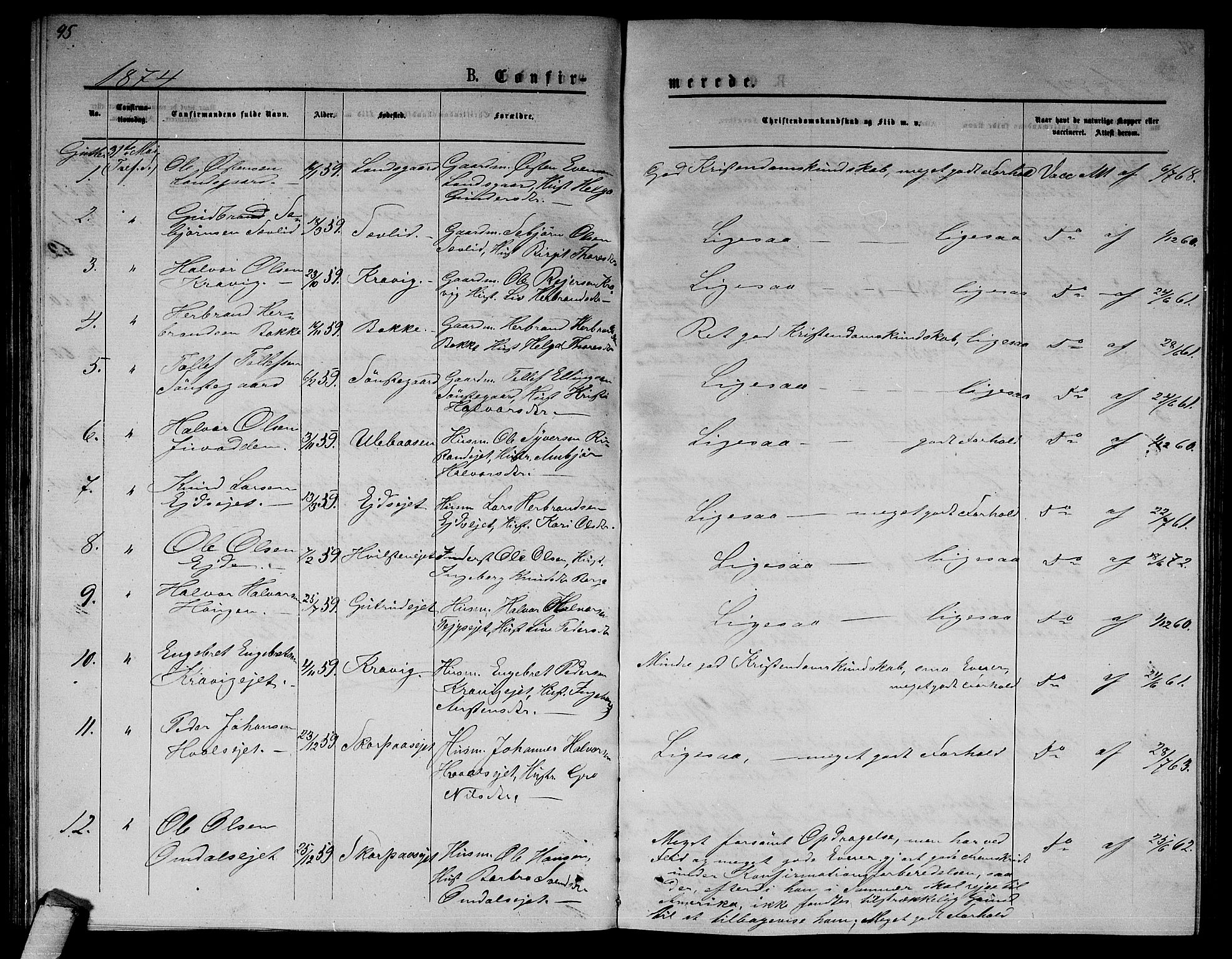 Nore kirkebøker, SAKO/A-238/G/Ga/L0001: Parish register (copy) no. I 1, 1872-1877, p. 95