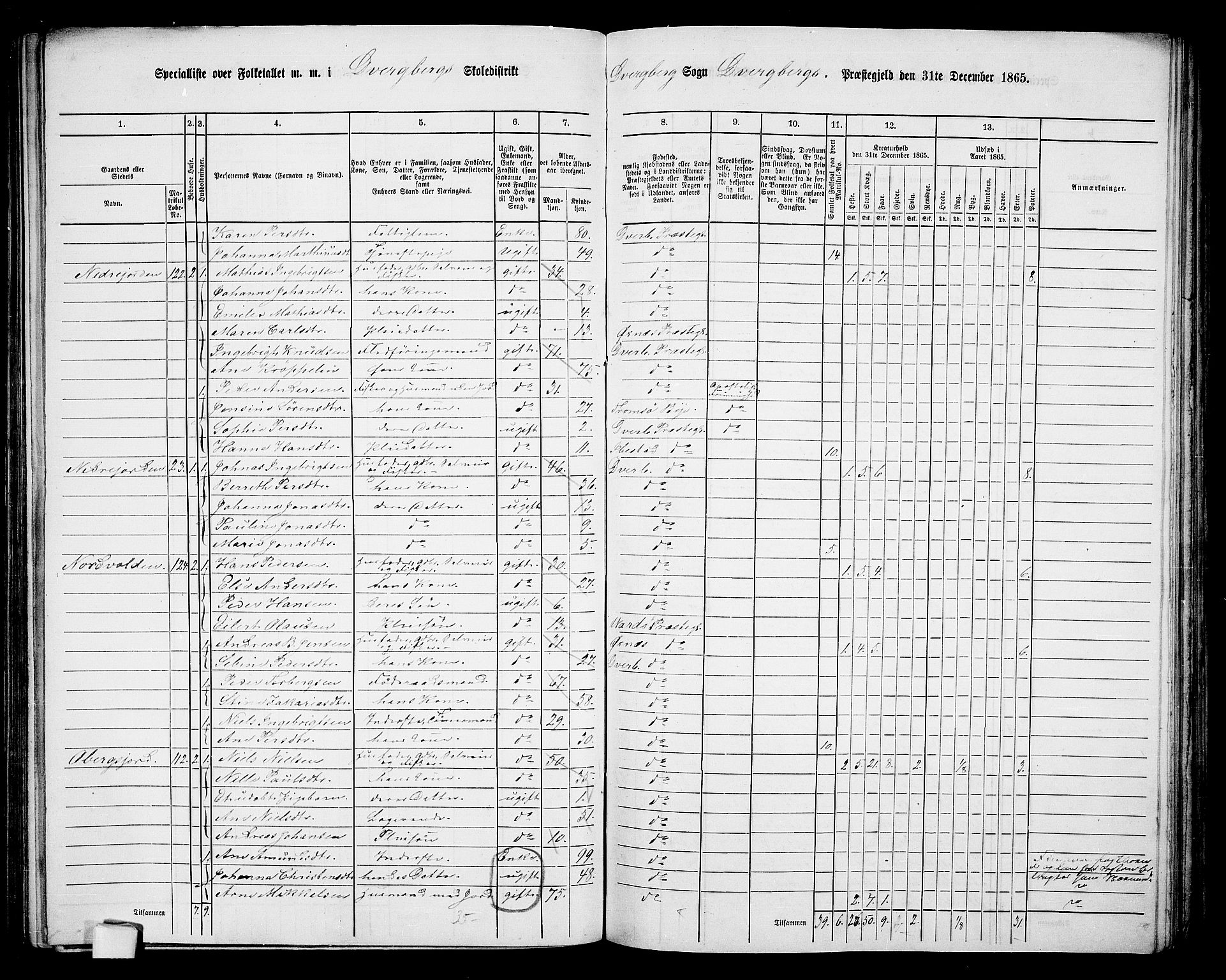 RA, 1865 census for Dverberg, 1865, p. 12