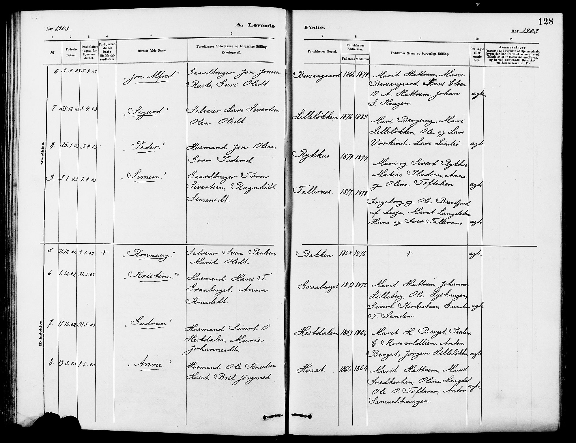 Dovre prestekontor, SAH/PREST-066/H/Ha/Hab/L0002: Parish register (copy) no. 2, 1881-1907, p. 128