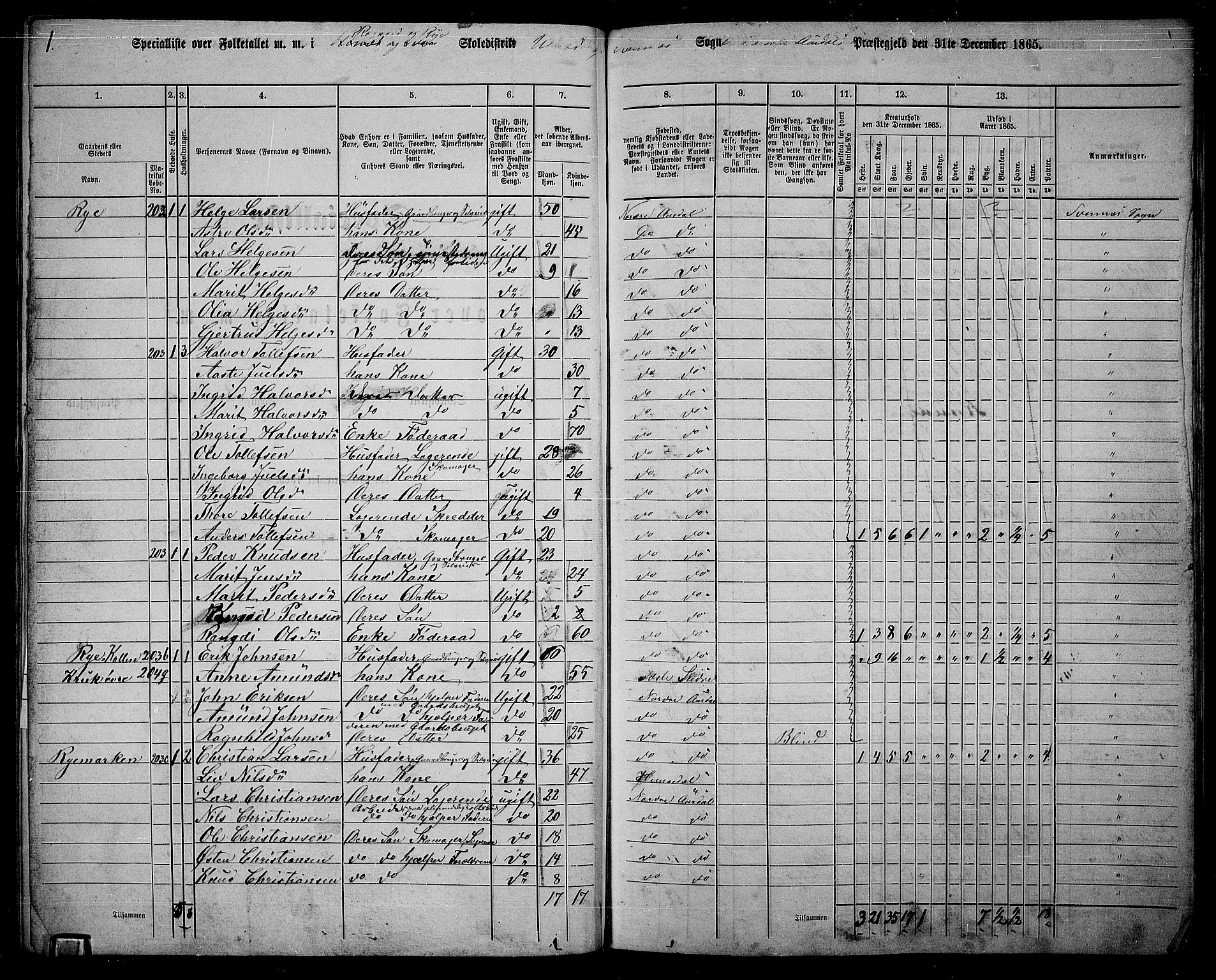 RA, 1865 census for Nord-Aurdal, 1865, p. 132