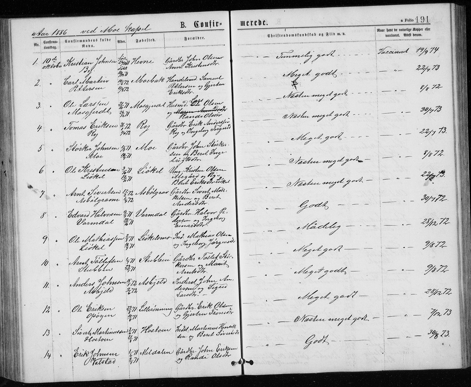Ministerialprotokoller, klokkerbøker og fødselsregistre - Sør-Trøndelag, SAT/A-1456/671/L0843: Parish register (copy) no. 671C02, 1873-1892, p. 191