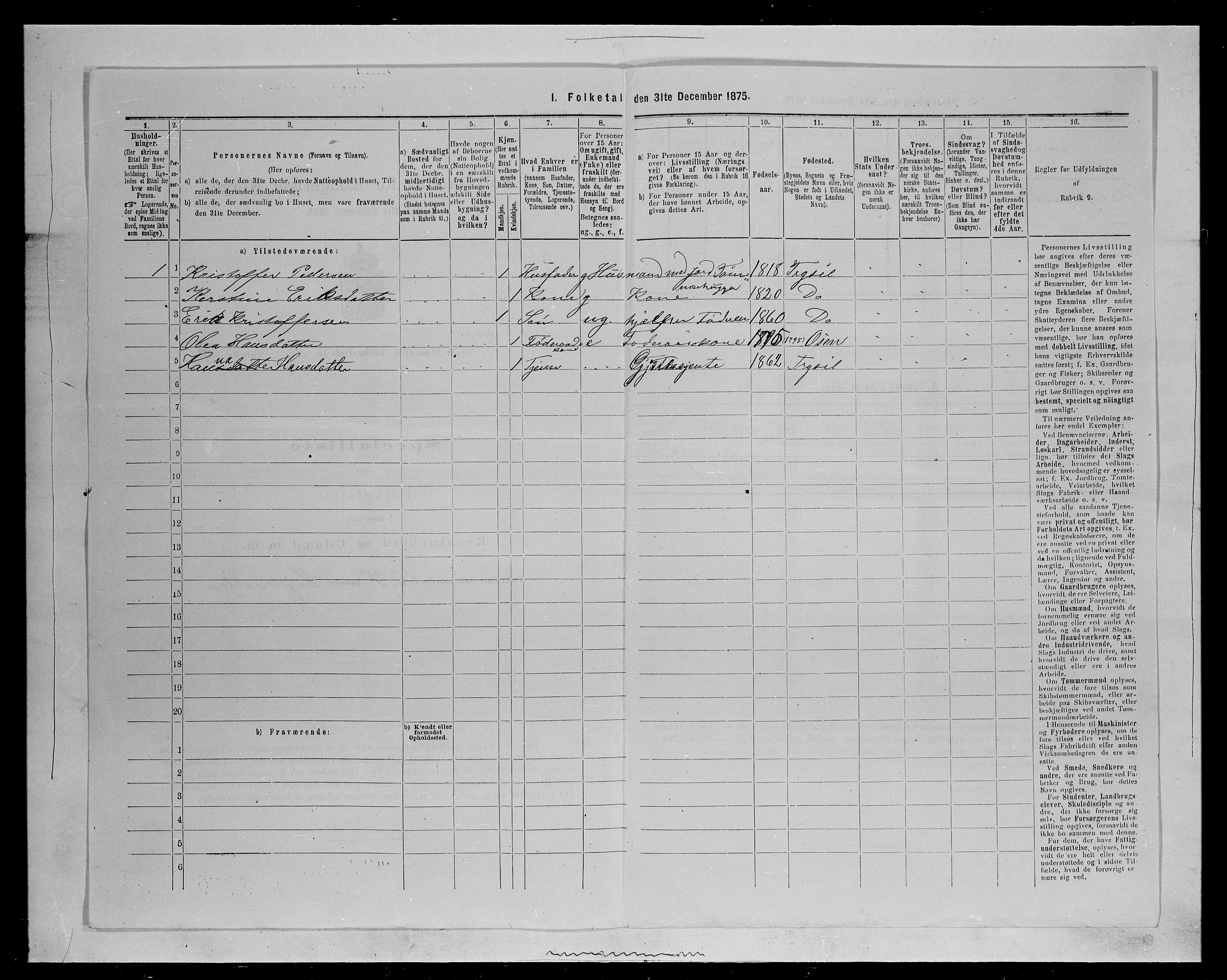 SAH, 1875 census for 0428P Trysil, 1875, p. 529