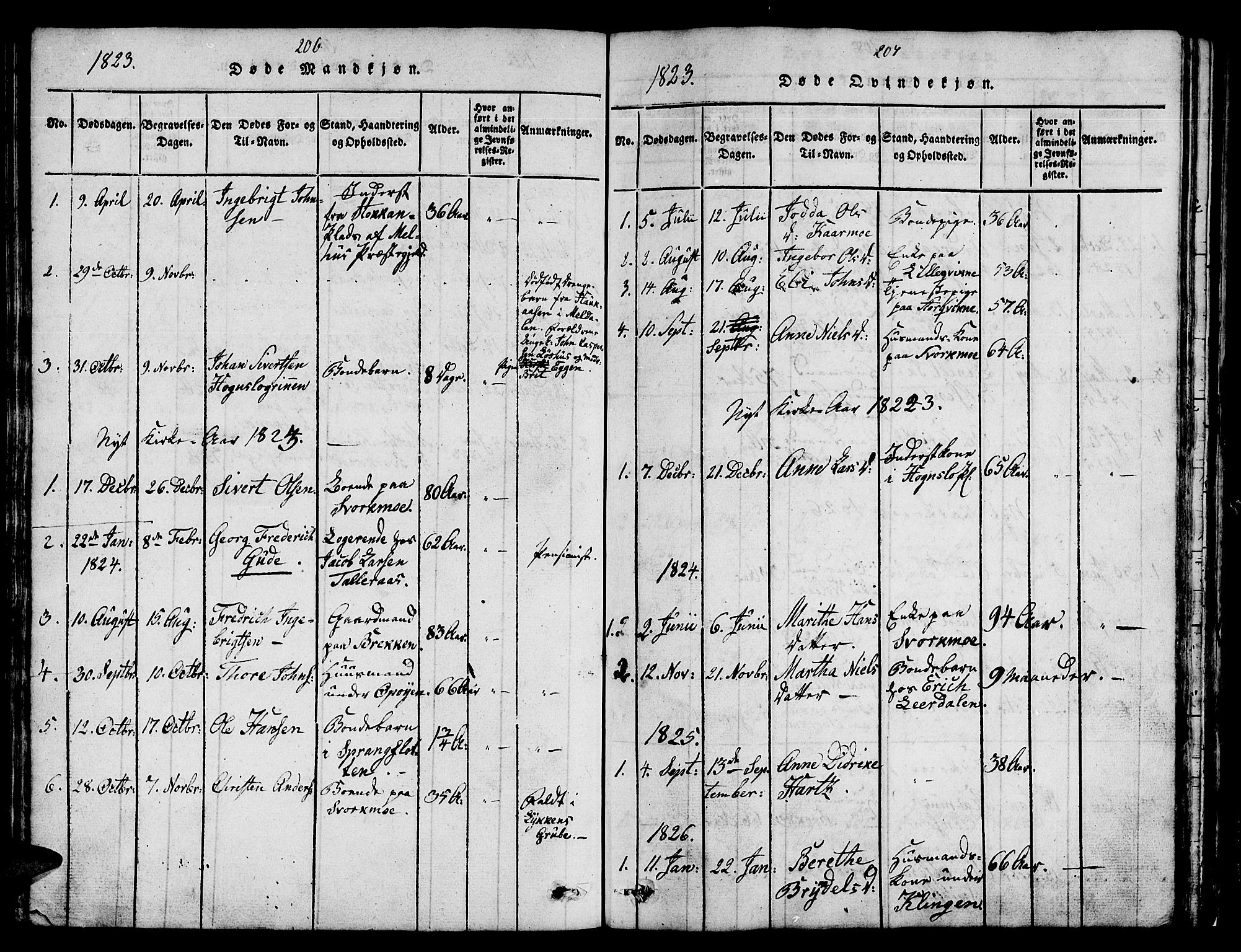 Ministerialprotokoller, klokkerbøker og fødselsregistre - Sør-Trøndelag, AV/SAT-A-1456/671/L0842: Parish register (copy) no. 671C01, 1816-1867, p. 206-207