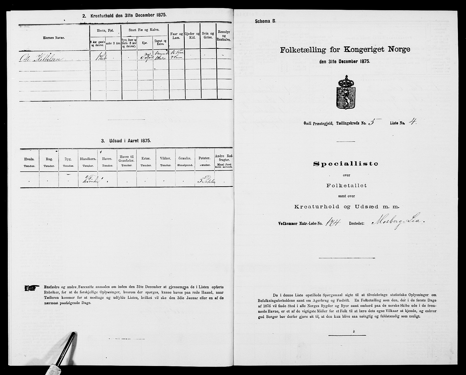 SAK, 1875 census for 0929P Åmli, 1875, p. 402