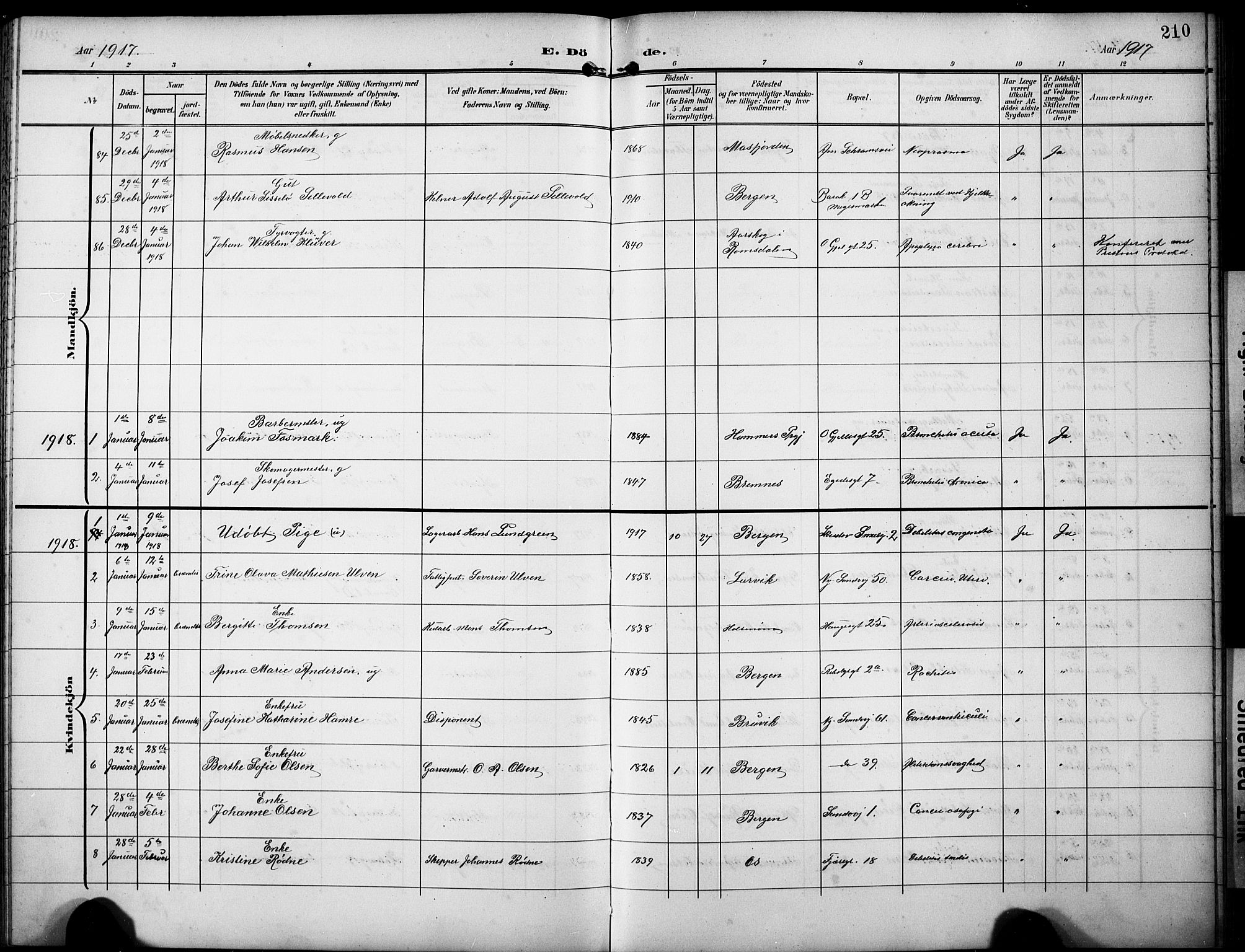 Sandviken Sokneprestembete, AV/SAB-A-77601/H/Hb/L0017: Parish register (copy) no. E 1, 1903-1926, p. 210