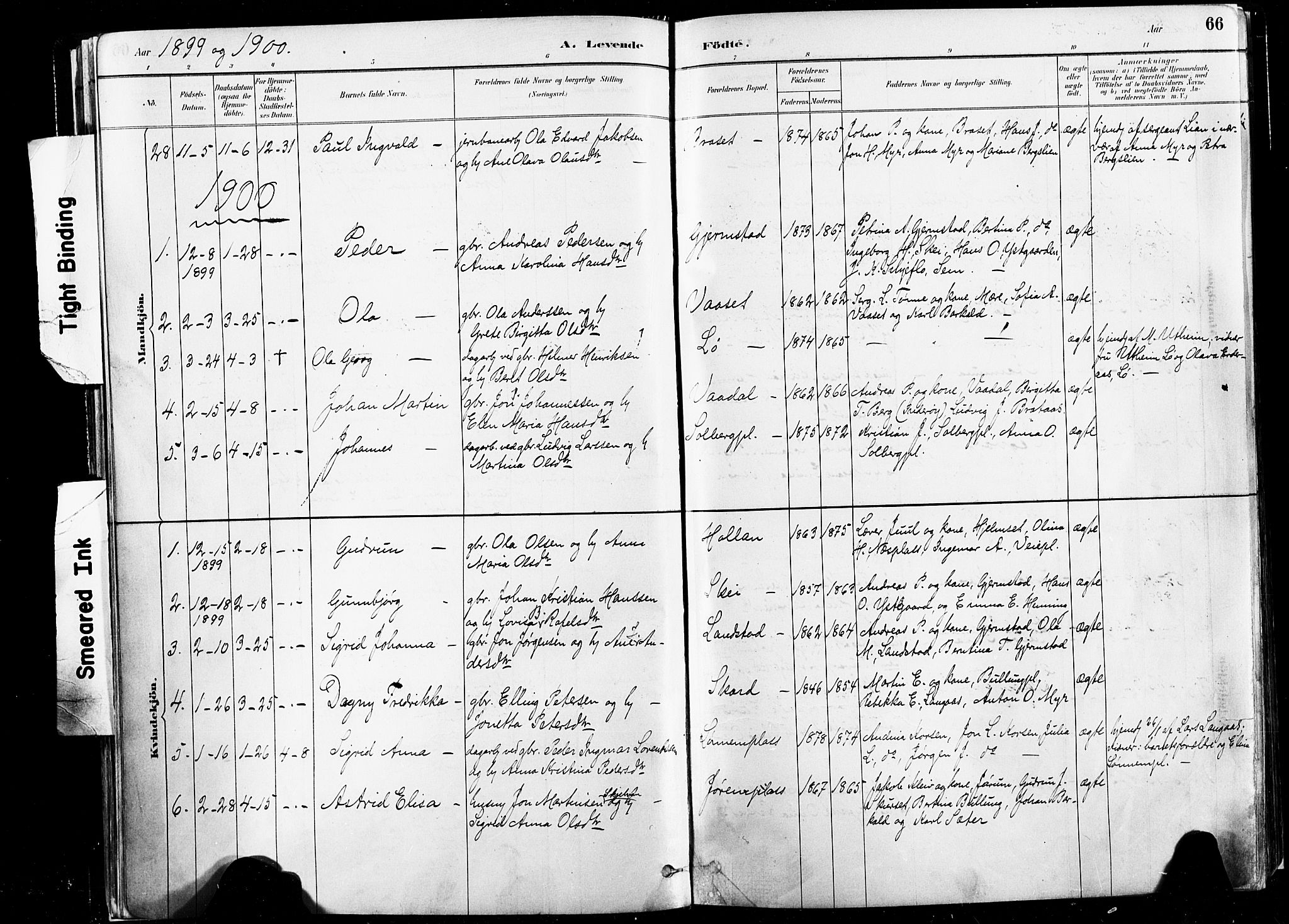 Ministerialprotokoller, klokkerbøker og fødselsregistre - Nord-Trøndelag, SAT/A-1458/735/L0351: Parish register (official) no. 735A10, 1884-1908, p. 66