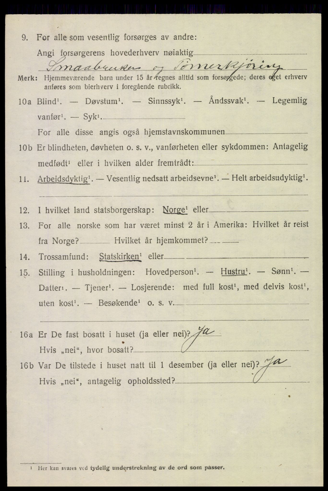 SAH, 1920 census for Hof, 1920, p. 7104