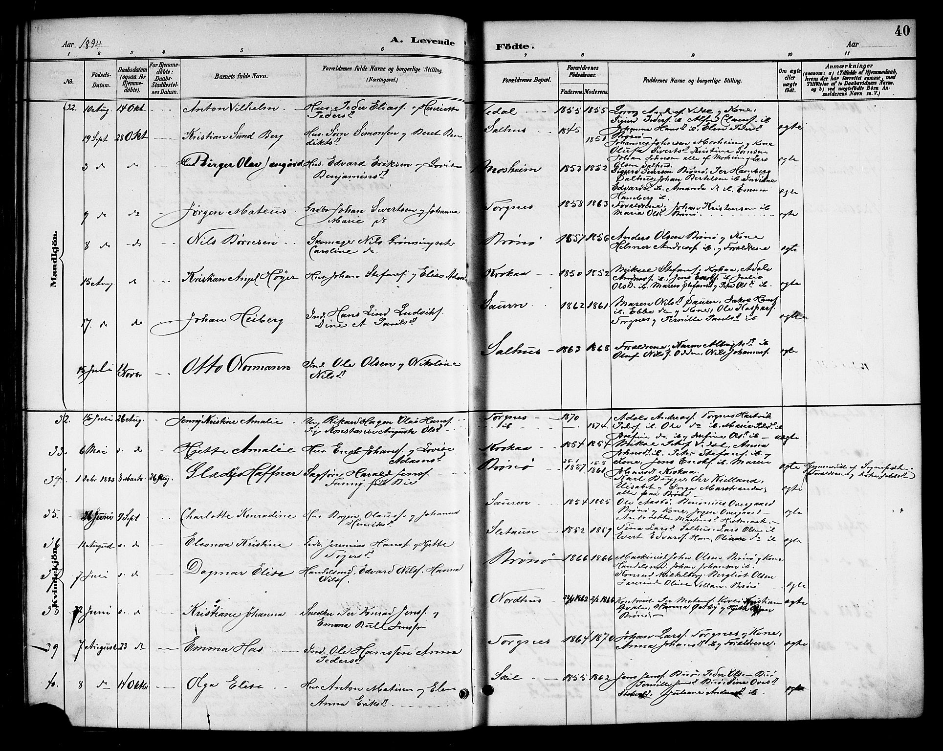 Ministerialprotokoller, klokkerbøker og fødselsregistre - Nordland, SAT/A-1459/813/L0213: Parish register (copy) no. 813C05, 1887-1903, p. 40