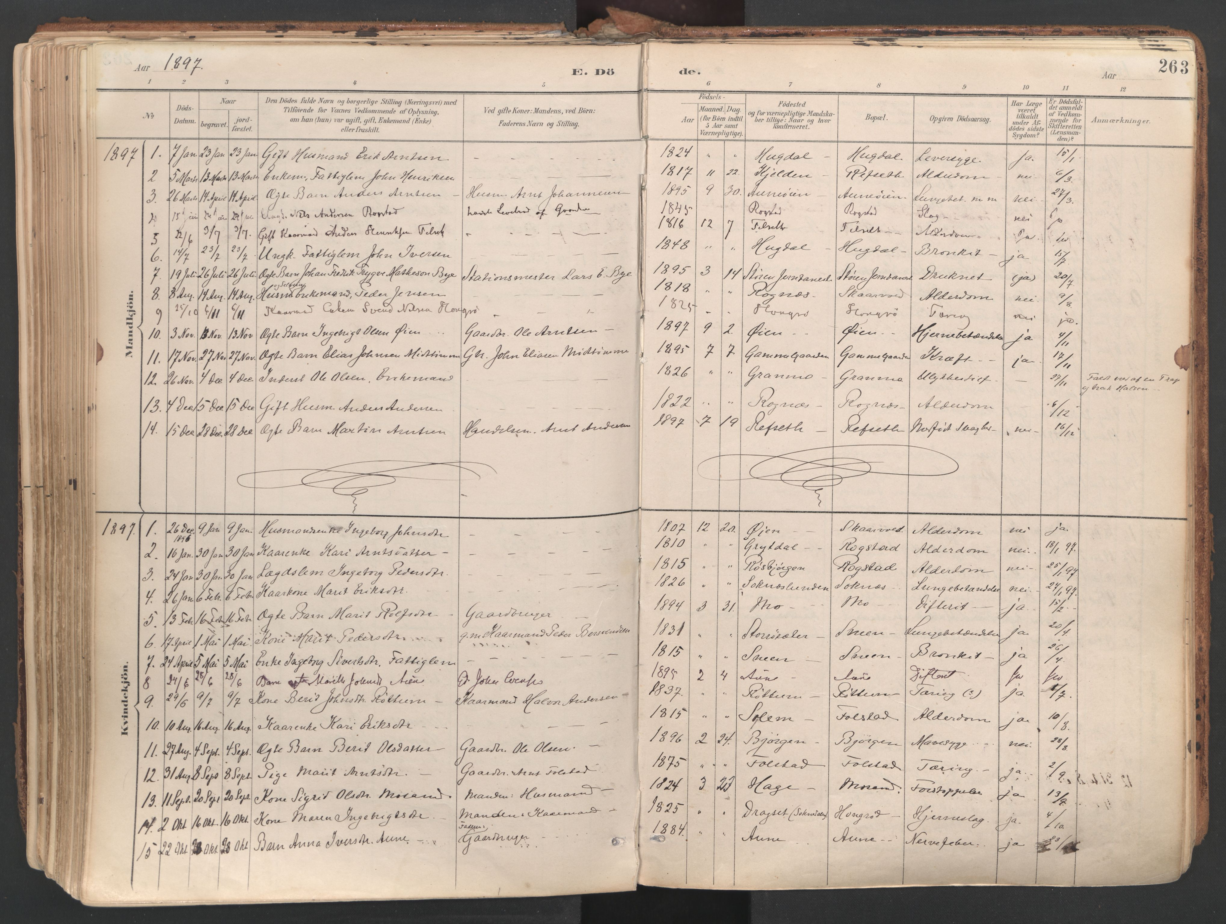 Ministerialprotokoller, klokkerbøker og fødselsregistre - Sør-Trøndelag, SAT/A-1456/687/L1004: Parish register (official) no. 687A10, 1891-1923, p. 263