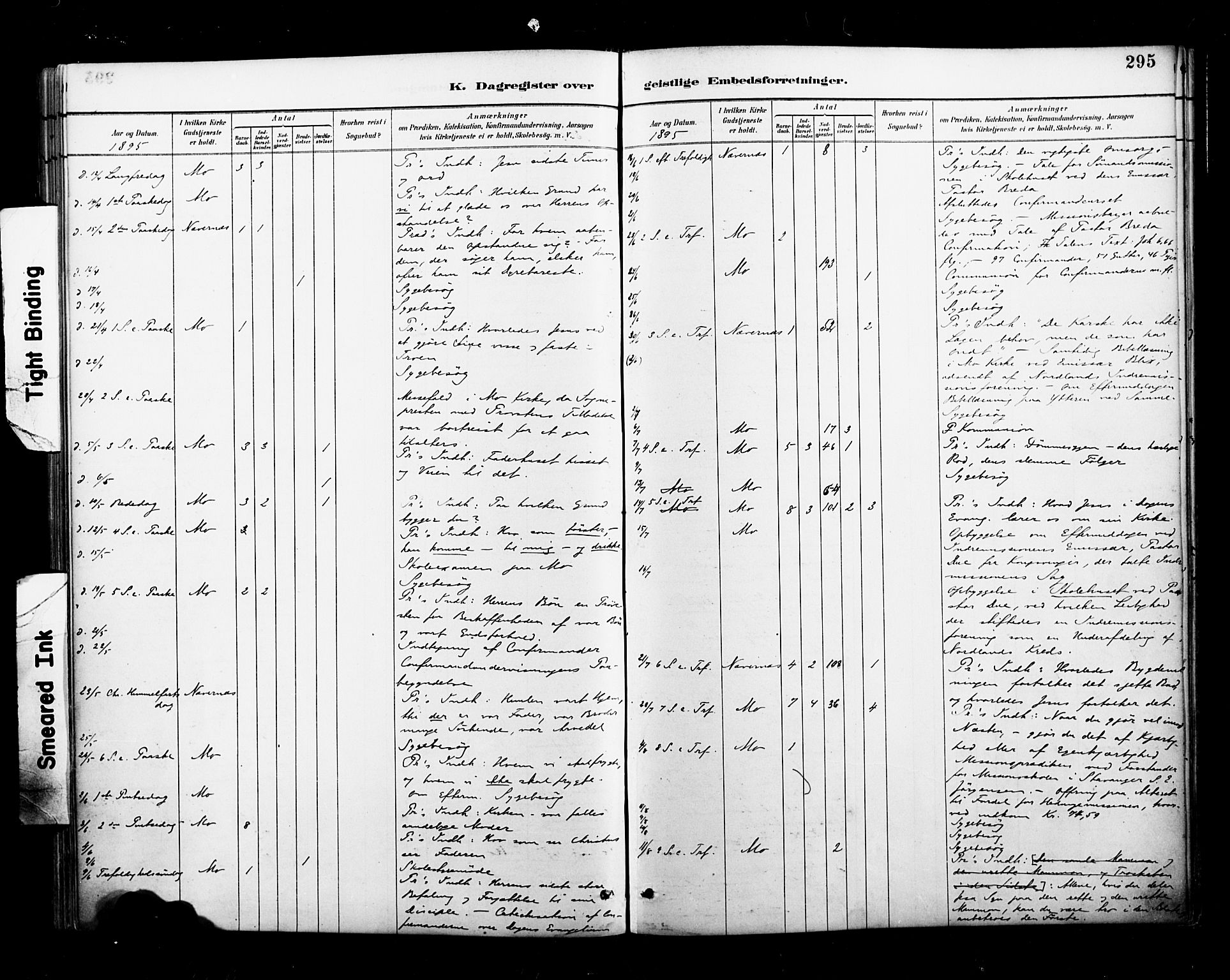 Ministerialprotokoller, klokkerbøker og fødselsregistre - Nordland, AV/SAT-A-1459/827/L0401: Parish register (official) no. 827A13, 1887-1905, p. 295