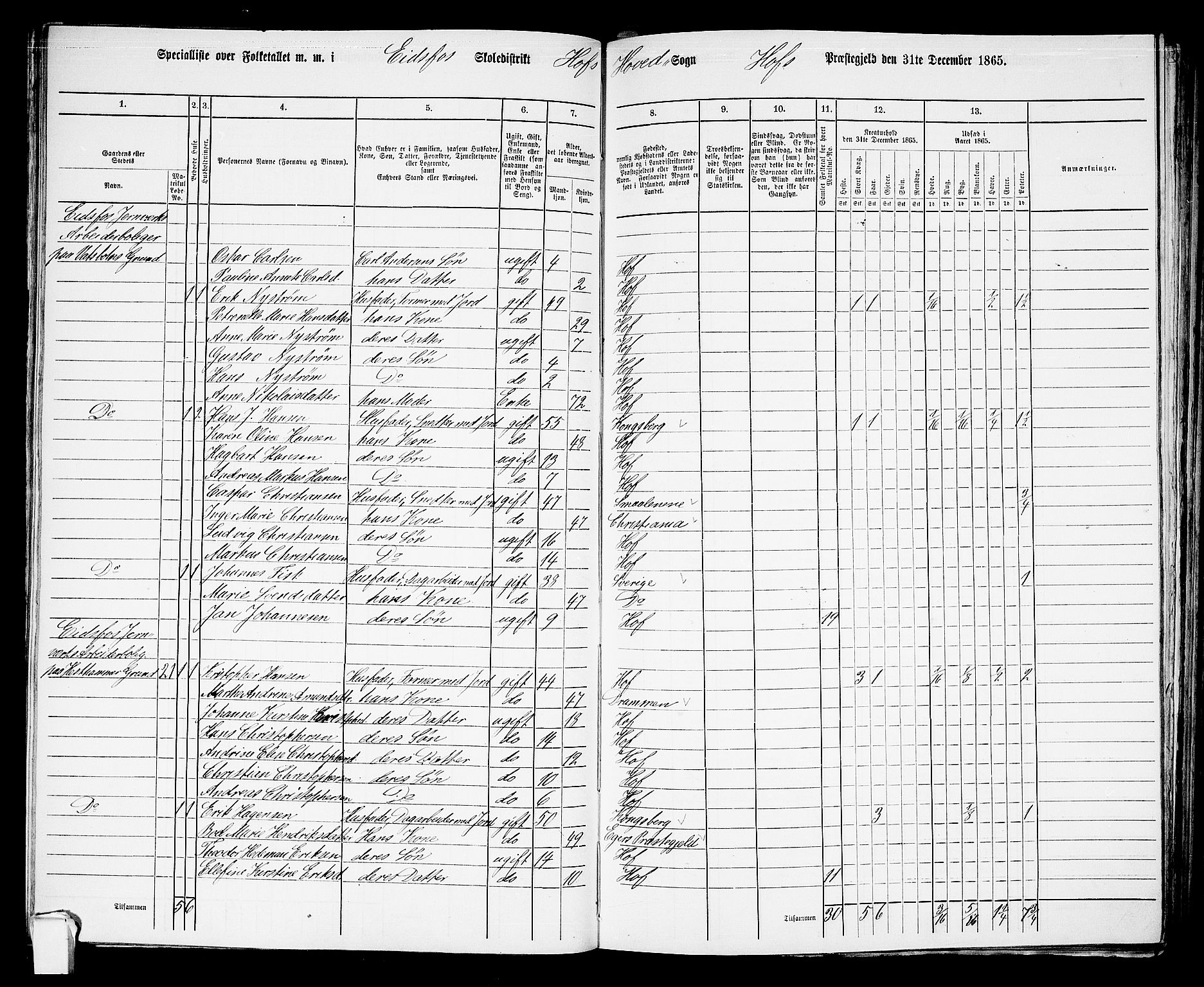 RA, 1865 census for Hof, 1865, p. 85