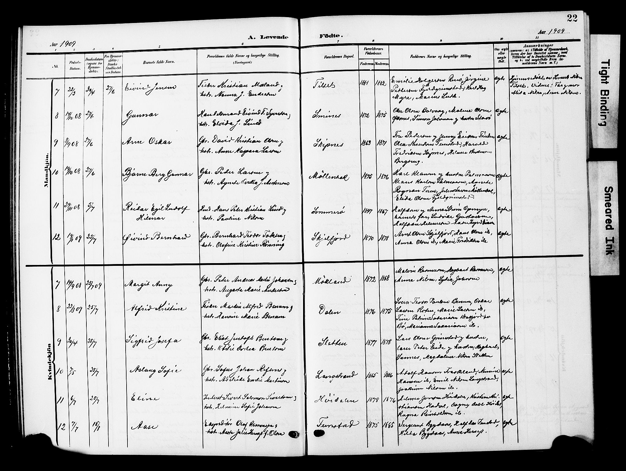 Ministerialprotokoller, klokkerbøker og fødselsregistre - Nordland, AV/SAT-A-1459/893/L1350: Parish register (copy) no. 893C05, 1906-1927, p. 22